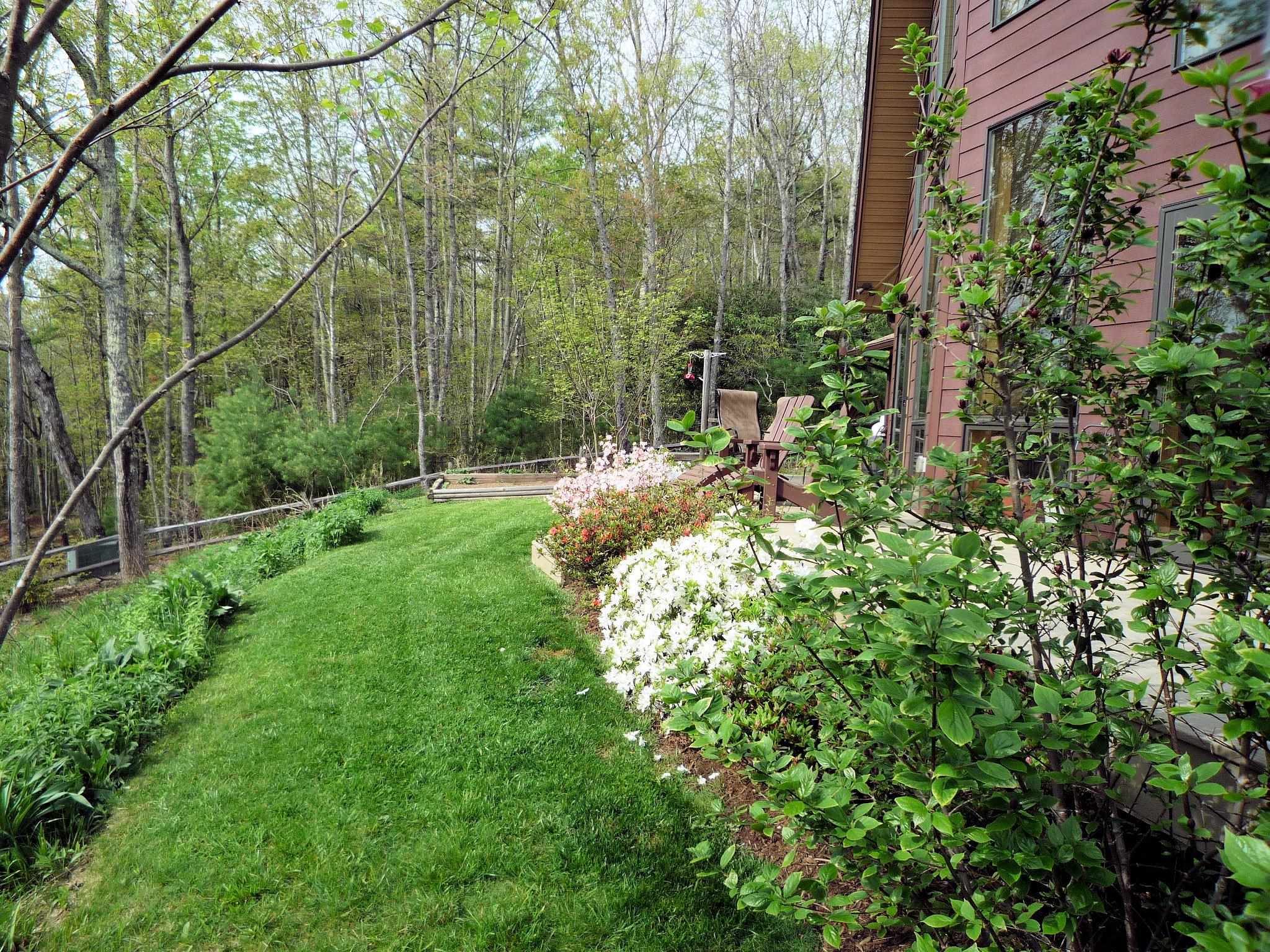 2054 Duncans Chapel Road NW Willis VA 24380