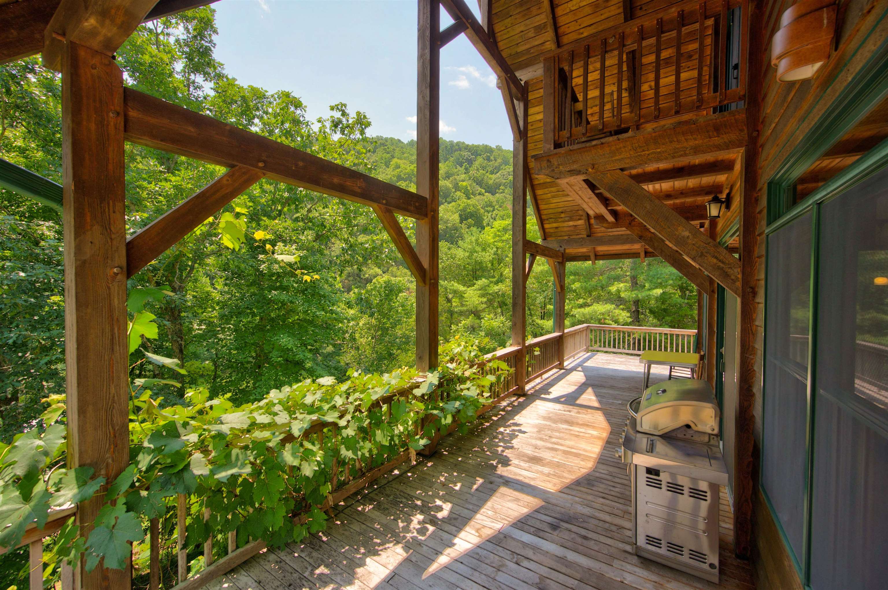478 Big Brush Creek Road Fries VA 24330