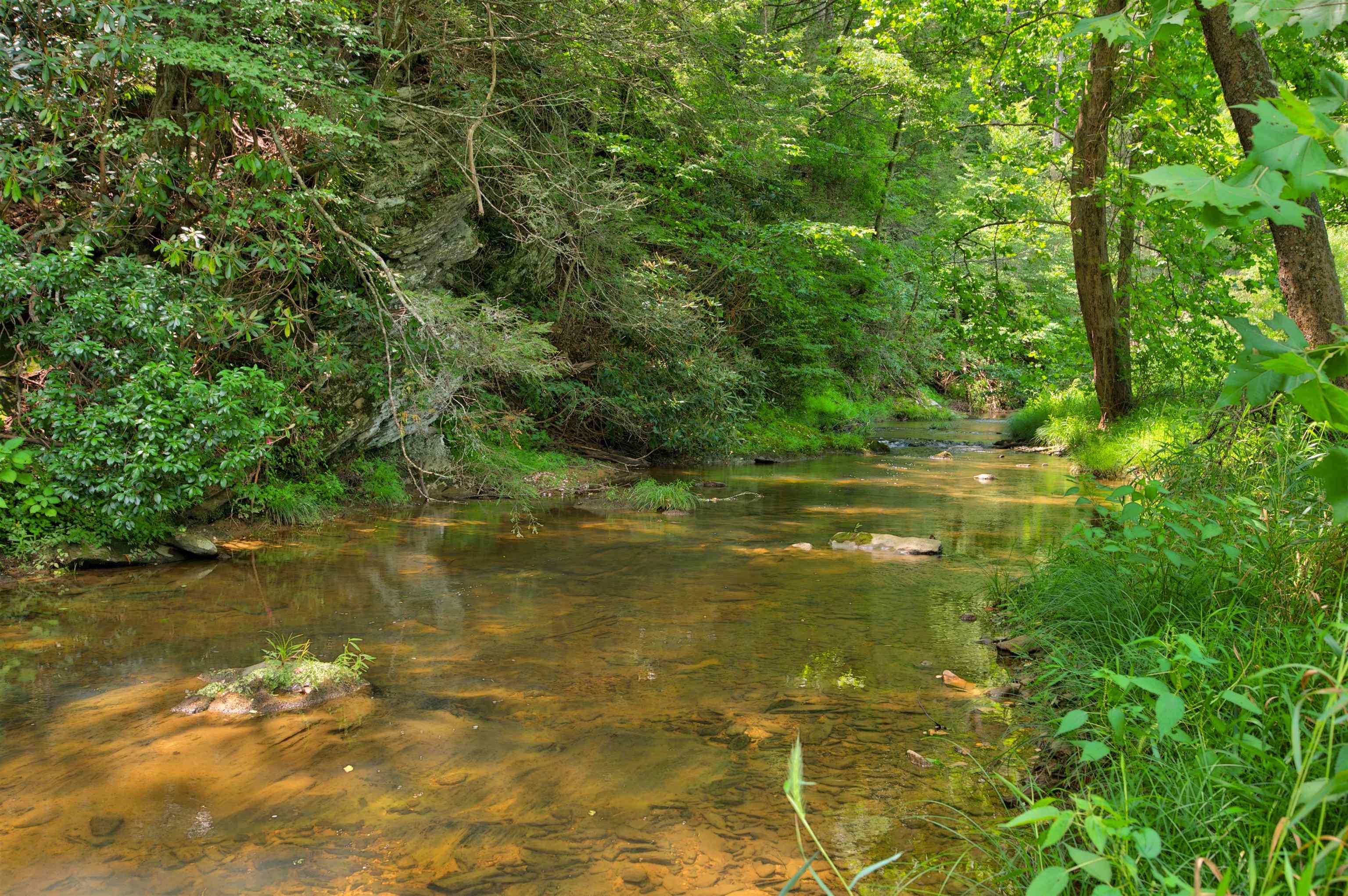 478 Big Brush Creek Road Fries VA 24330