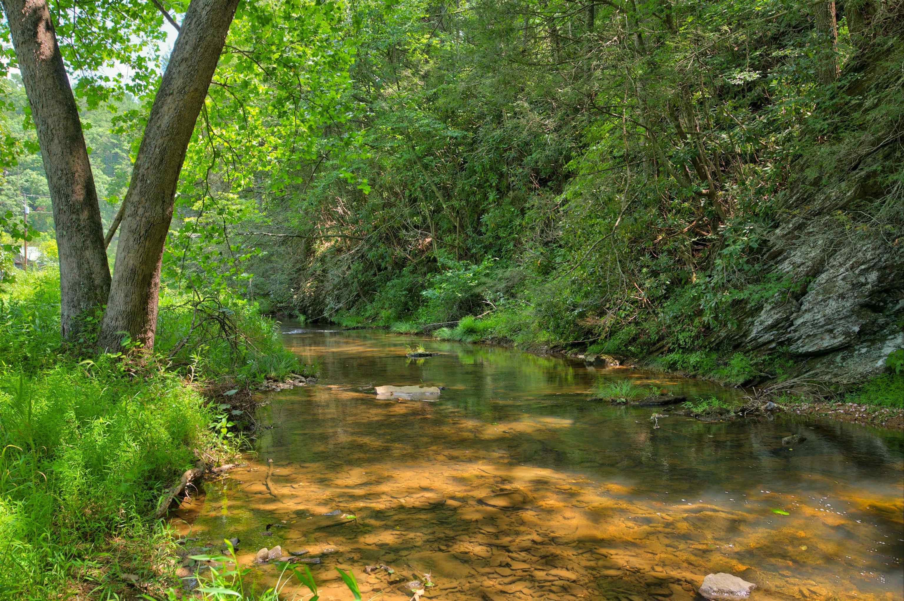 478 Big Brush Creek Road Fries VA 24330