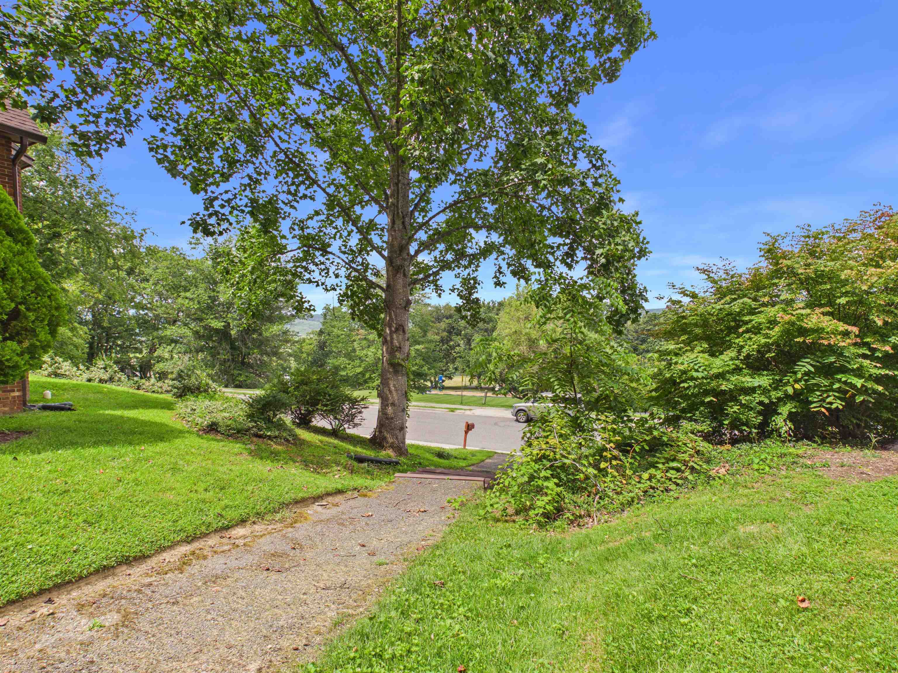 117 Primrose Drive Blacksburg VA 24060