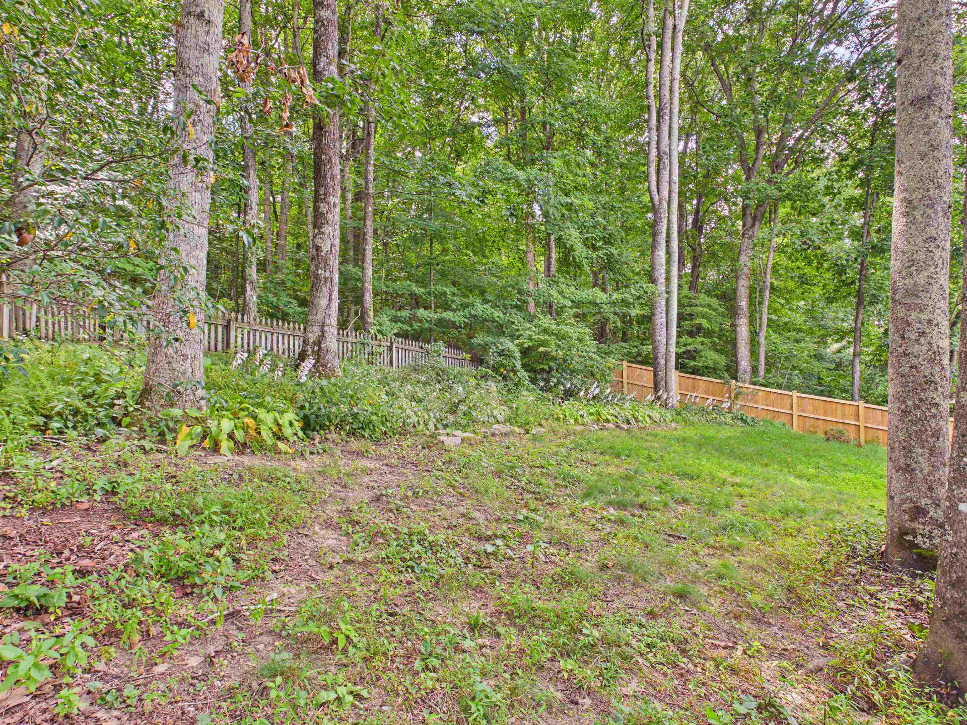 117 Primrose Drive Blacksburg VA 24060