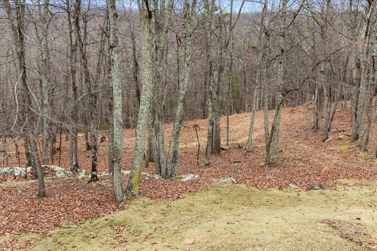 1634 Smithfield Drive Blacksburg VA 24060