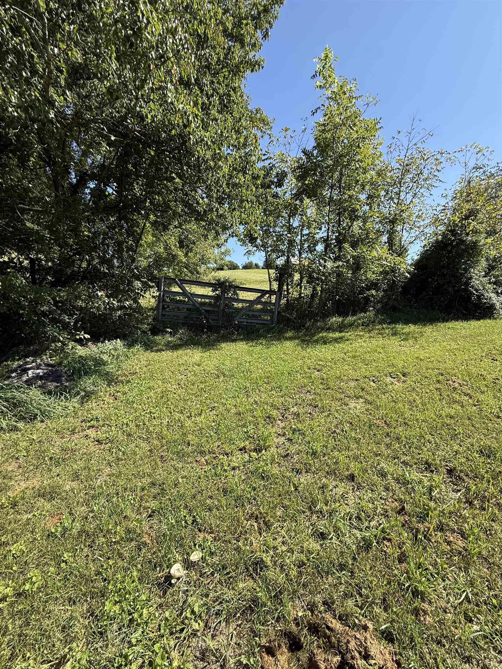 5594 Thornspring Church Road Dublin VA 24084