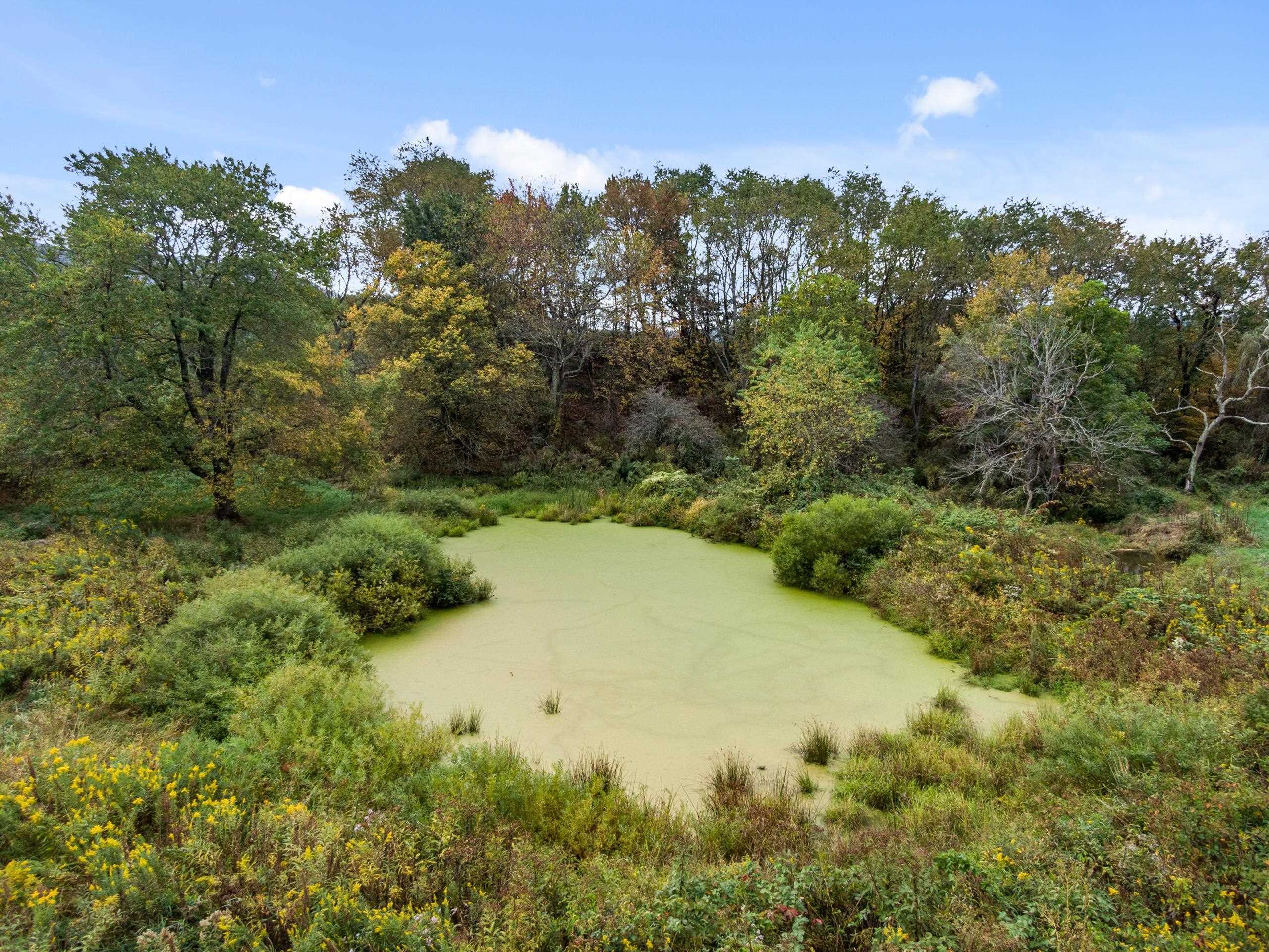 840 Carsonville Road Elk Creek VA 24326