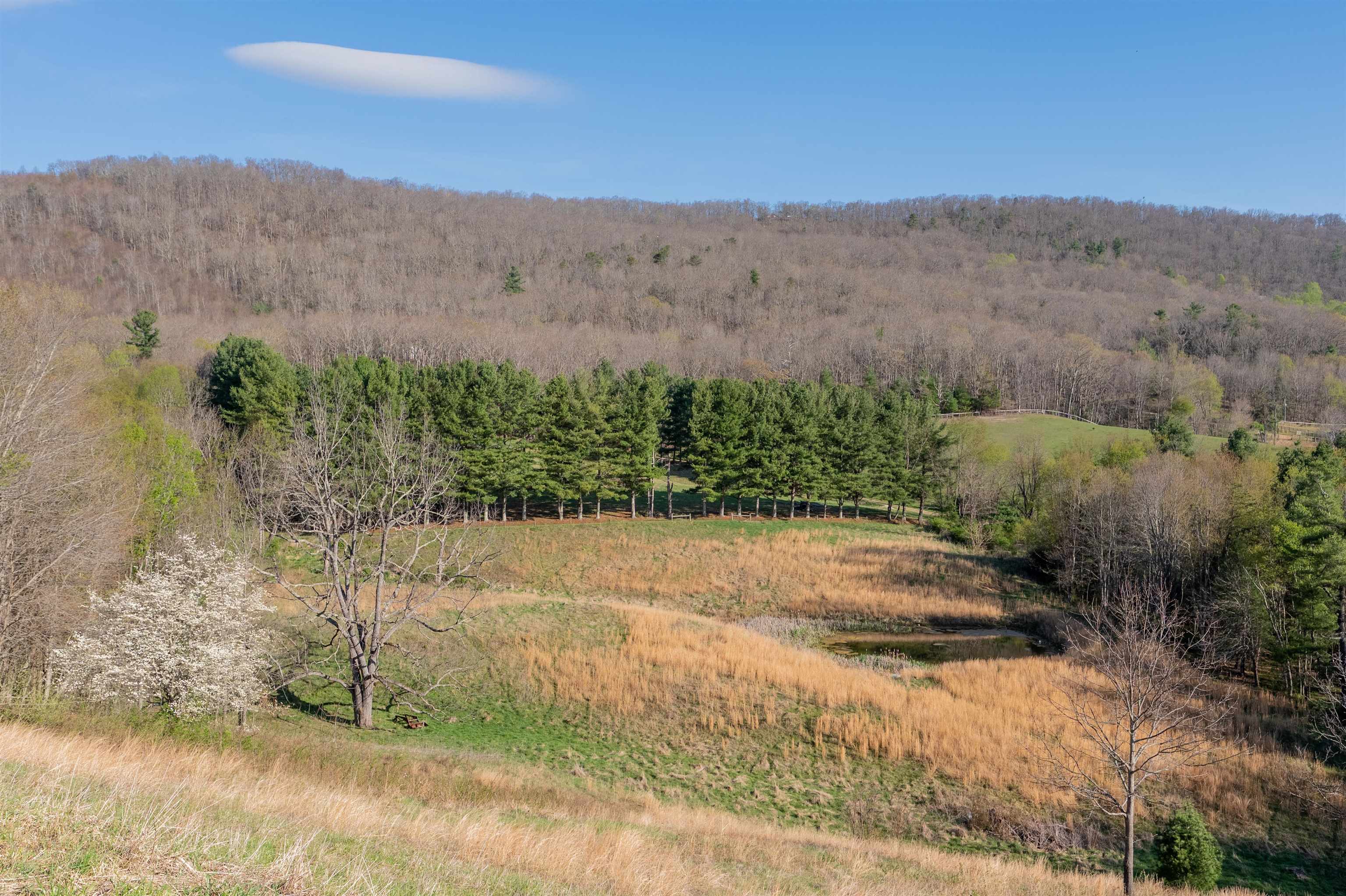 5877 Cumberland Gap Road Newport VA 24128