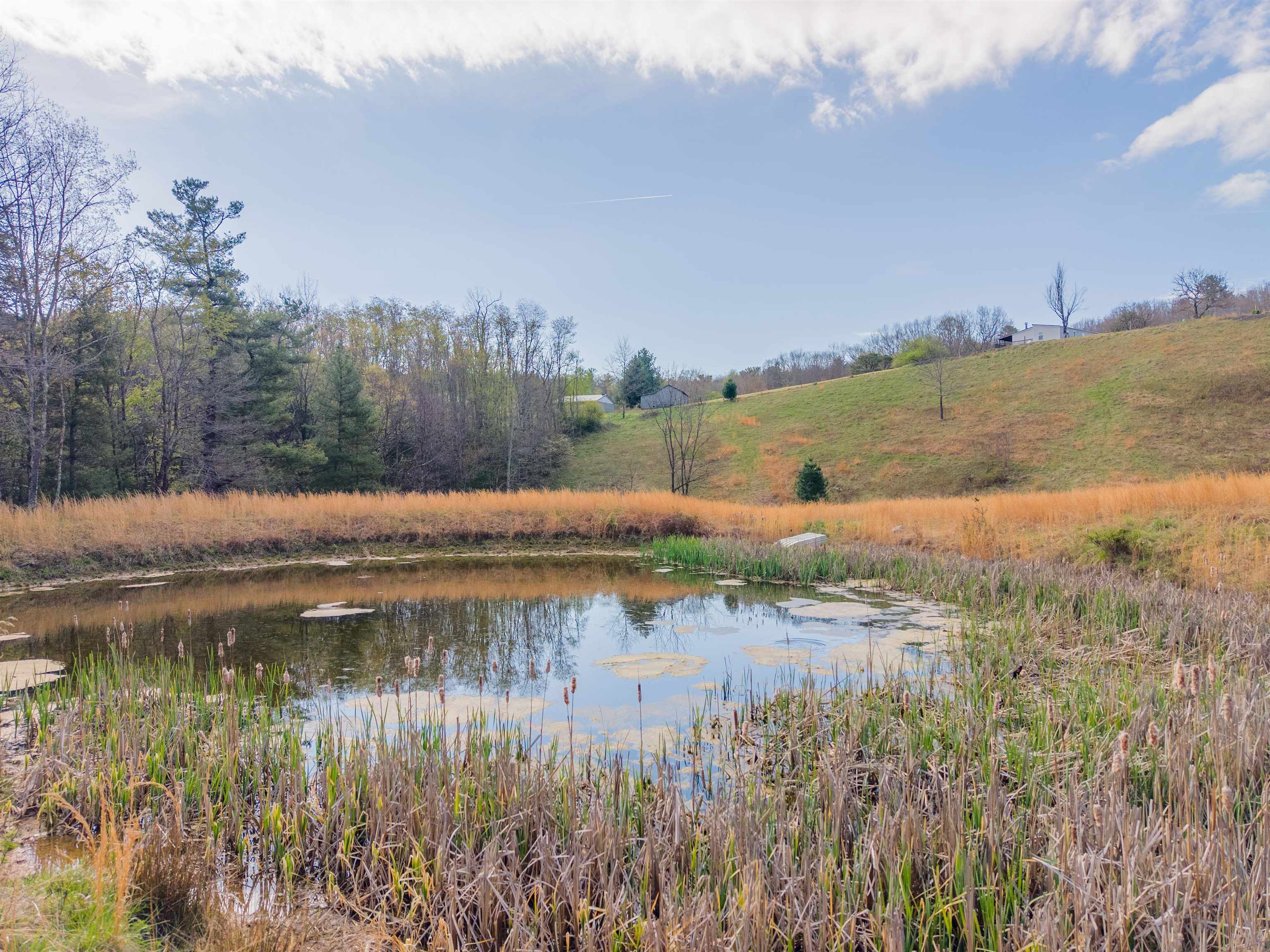 5877 Cumberland Gap Road Newport VA 24128