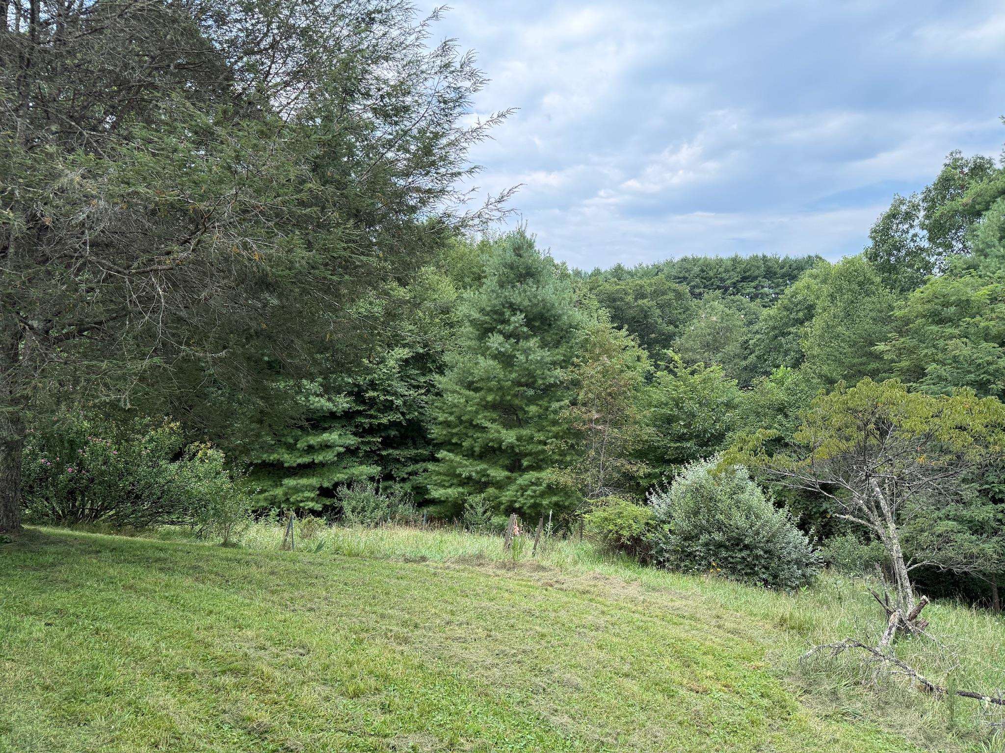 2098 Shady Grove Road Indian Valley VA 24105
