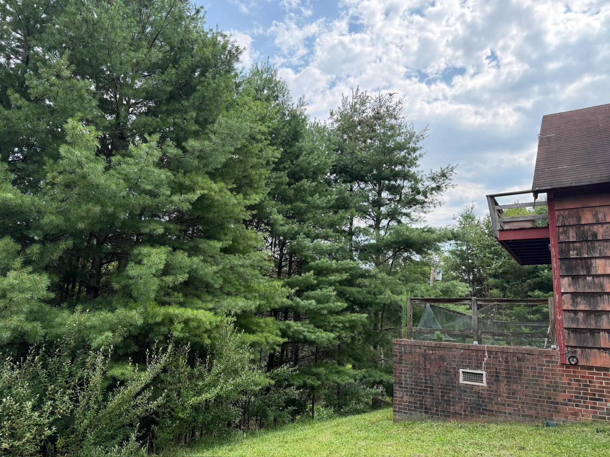 2098 Shady Grove Road Indian Valley VA 24105
