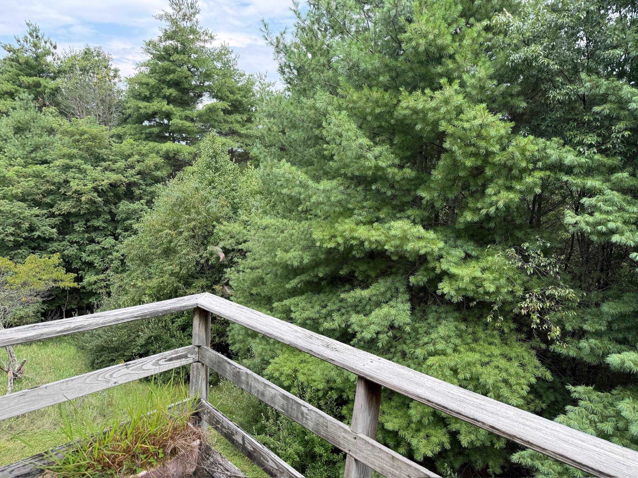 2098 Shady Grove Road Indian Valley VA 24105