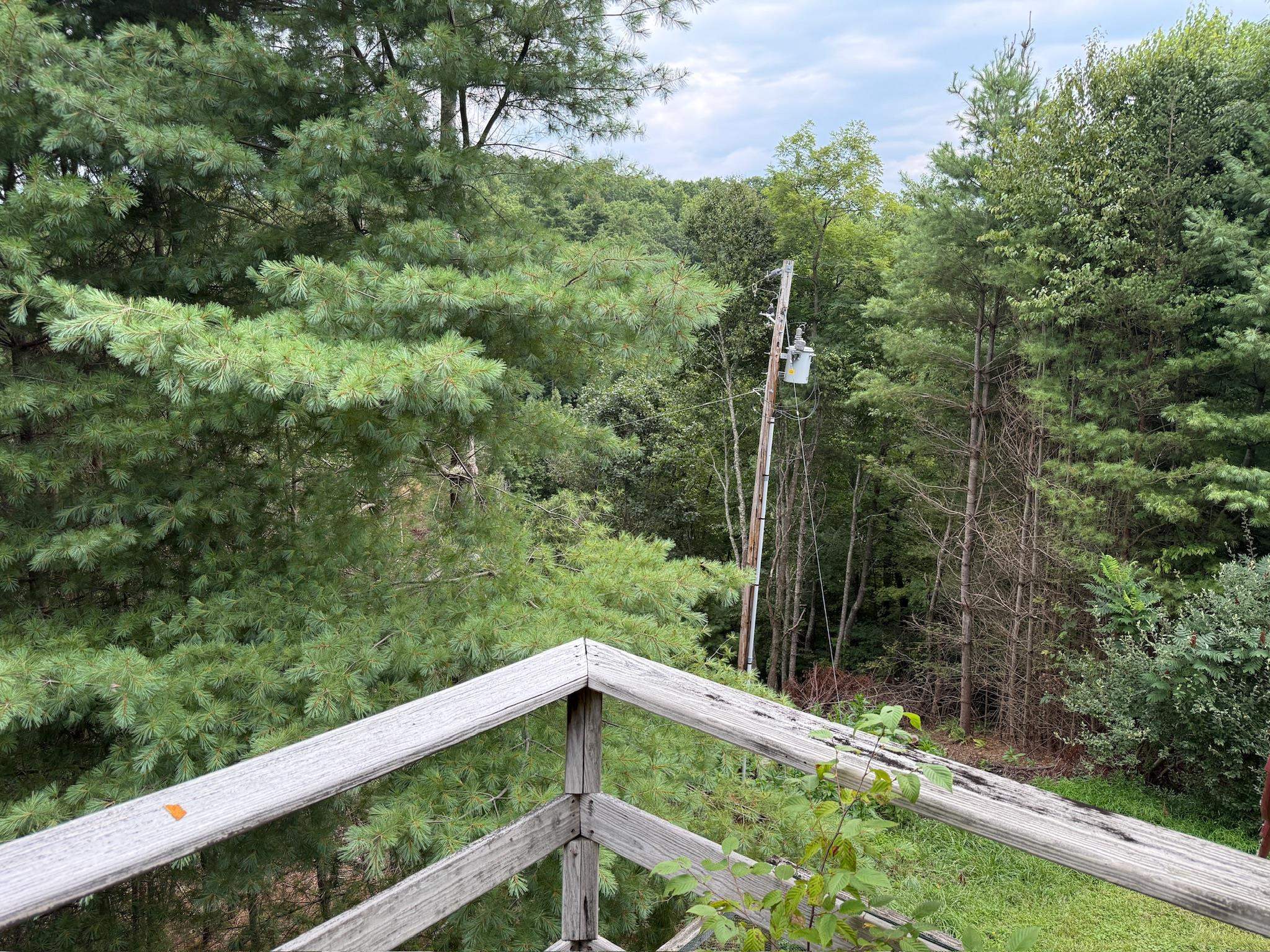 2098 Shady Grove Road Indian Valley VA 24105