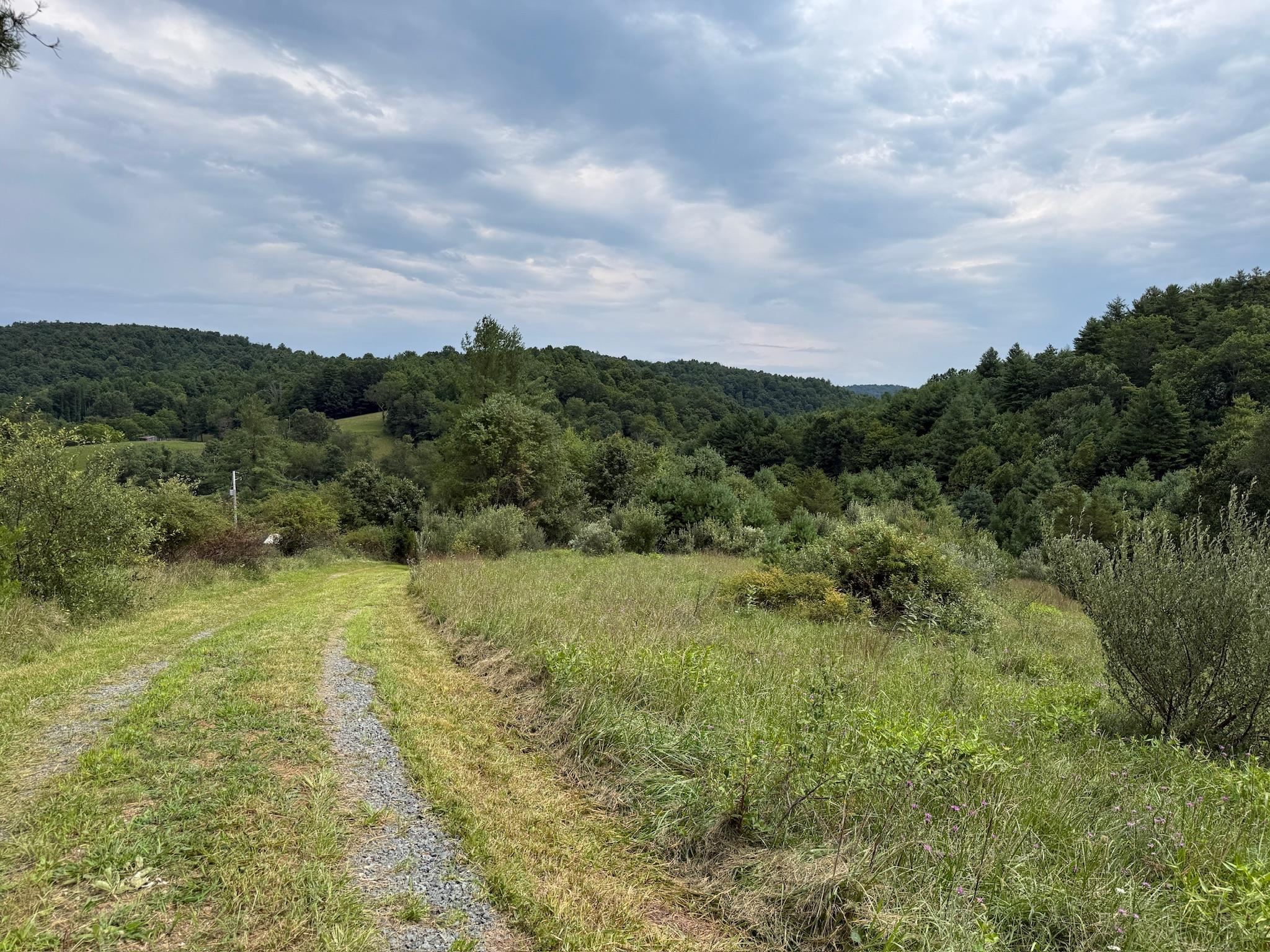 2098 Shady Grove Road Indian Valley VA 24105