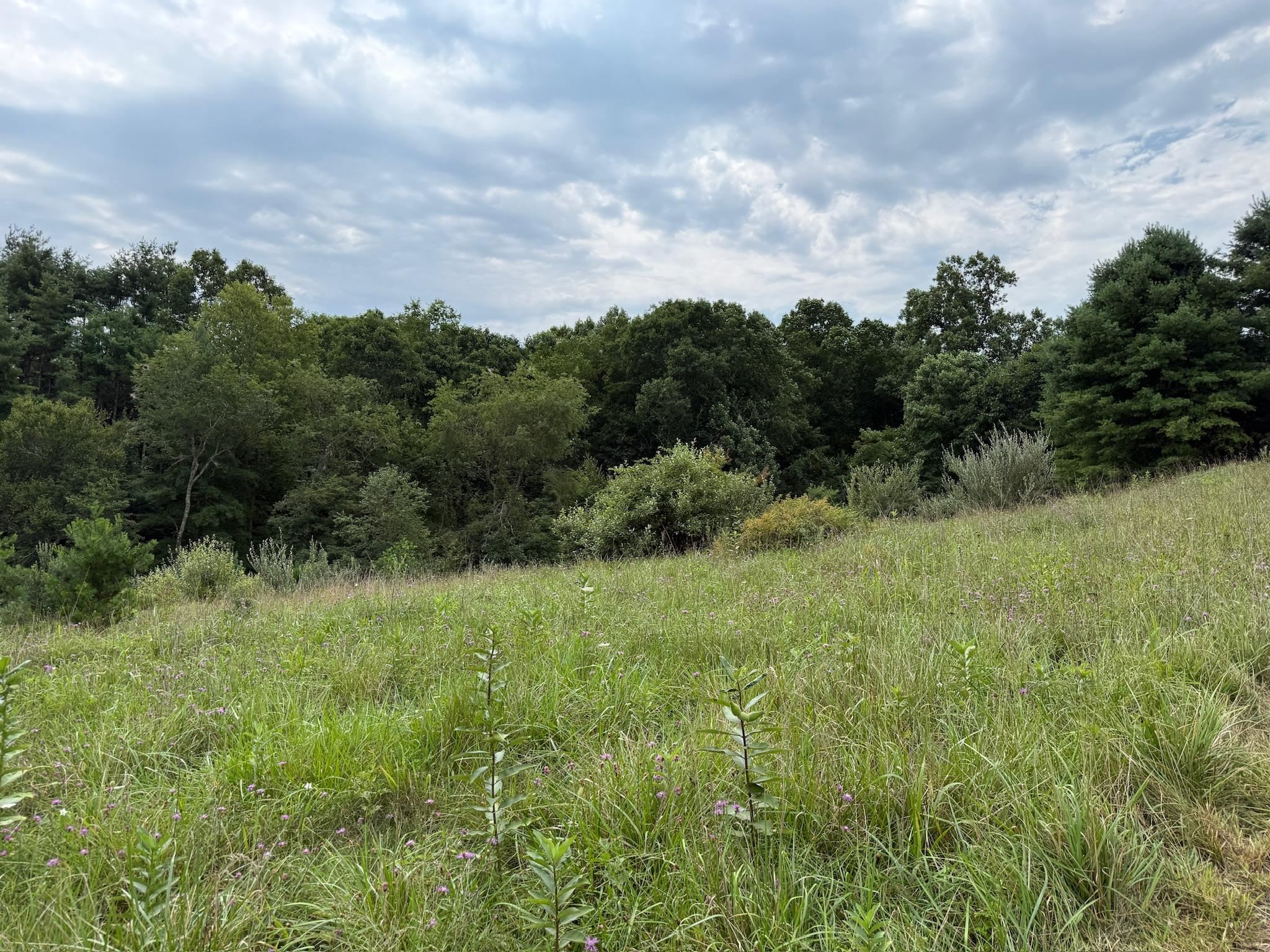 2098 Shady Grove Road Indian Valley VA 24105