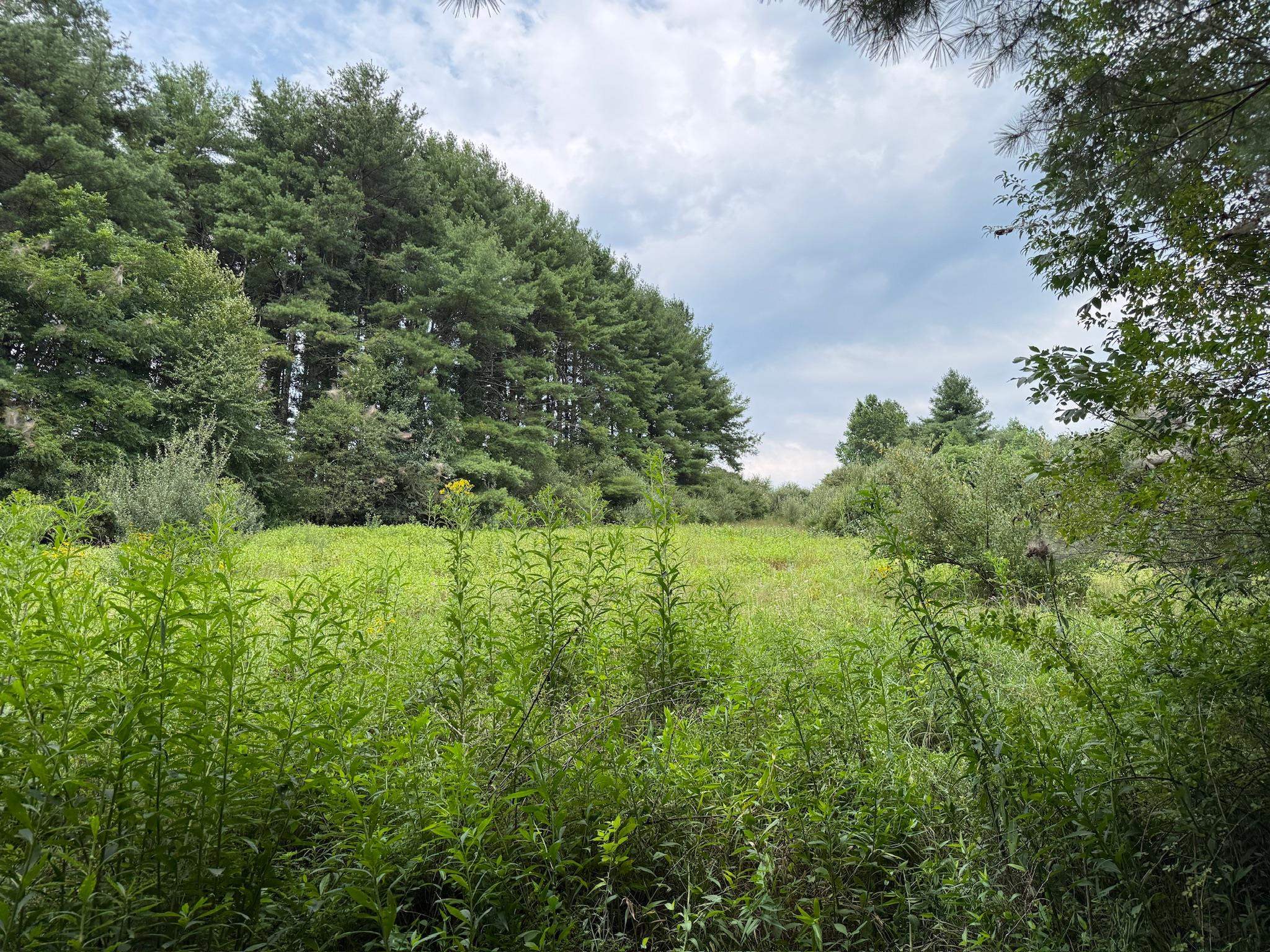 2098 Shady Grove Road Indian Valley VA 24105
