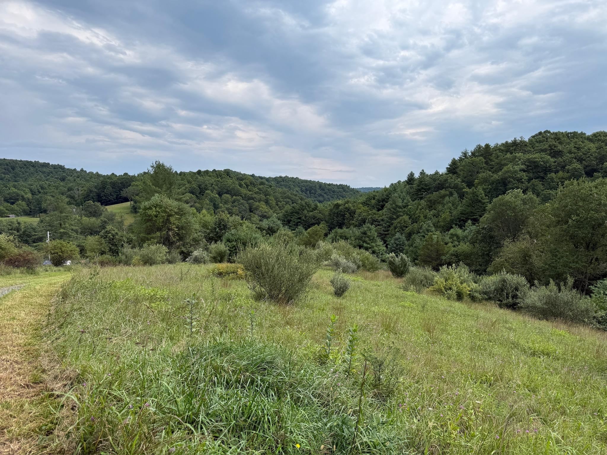2098 Shady Grove Road Indian Valley VA 24105