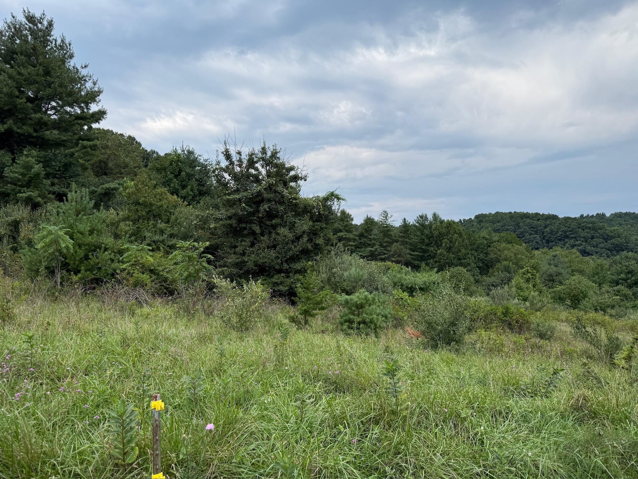 2098 Shady Grove Road Indian Valley VA 24105