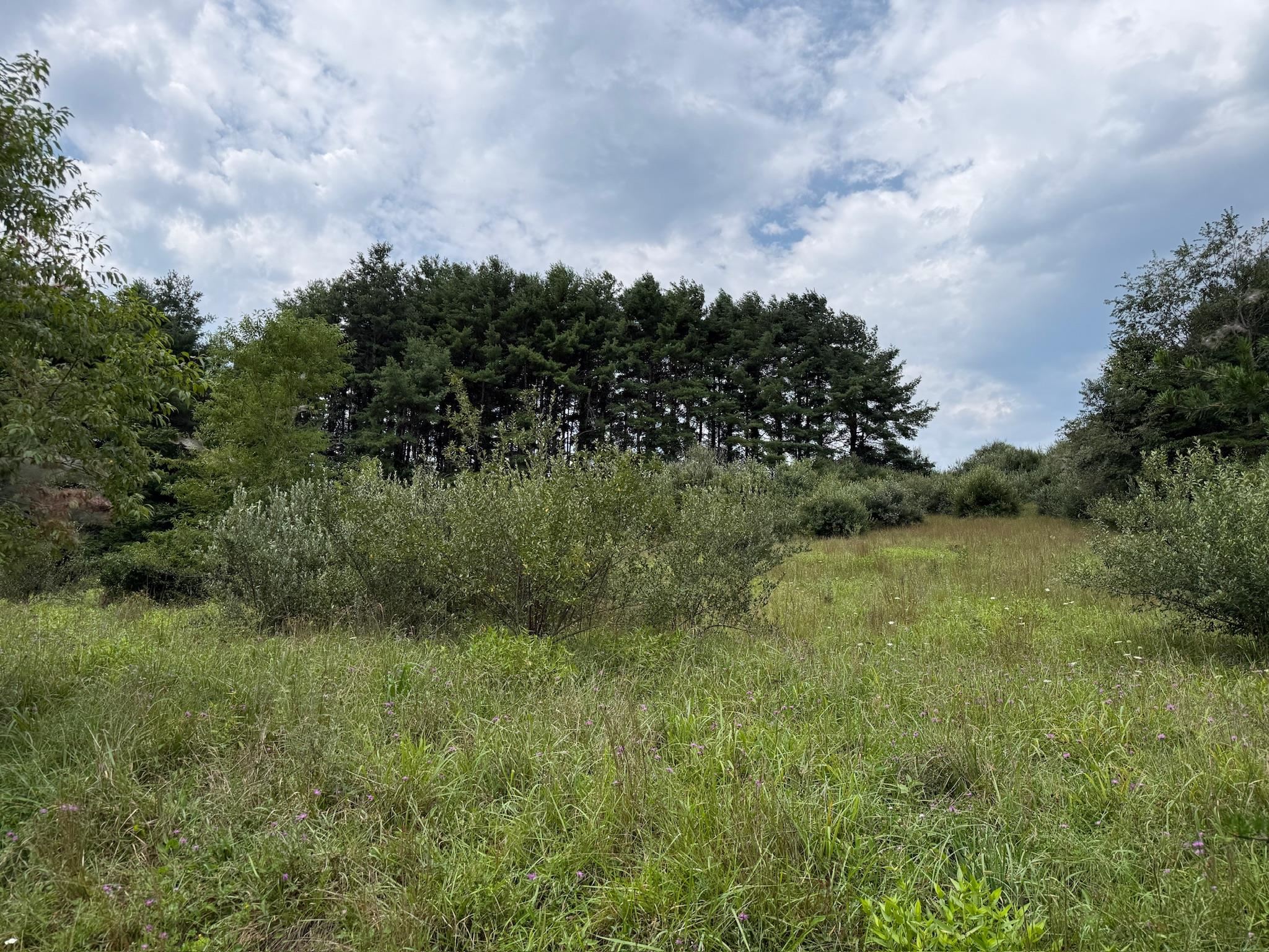 2098 Shady Grove Road Indian Valley VA 24105