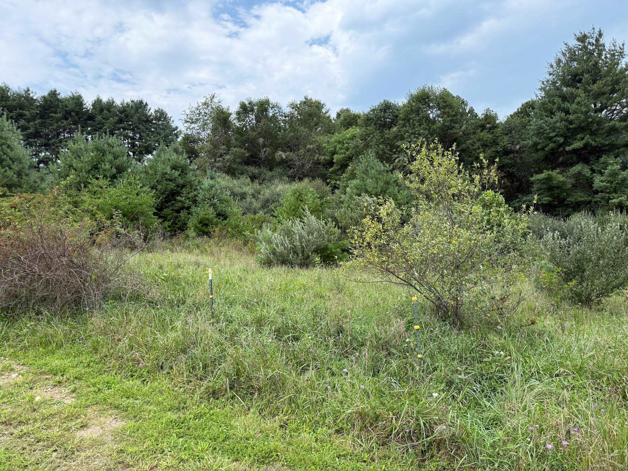 2098 Shady Grove Road Indian Valley VA 24105