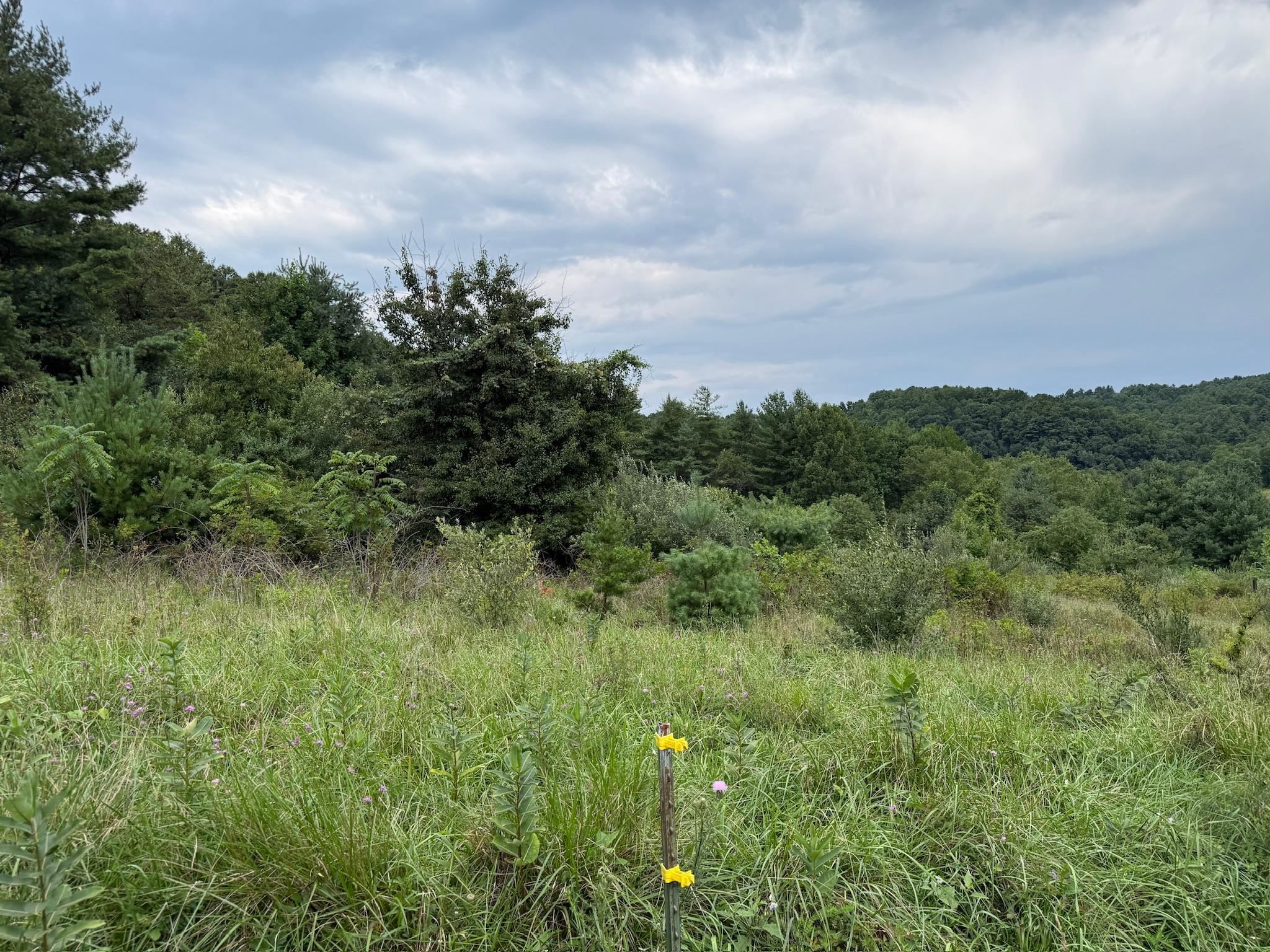 2098 Shady Grove Road Indian Valley VA 24105