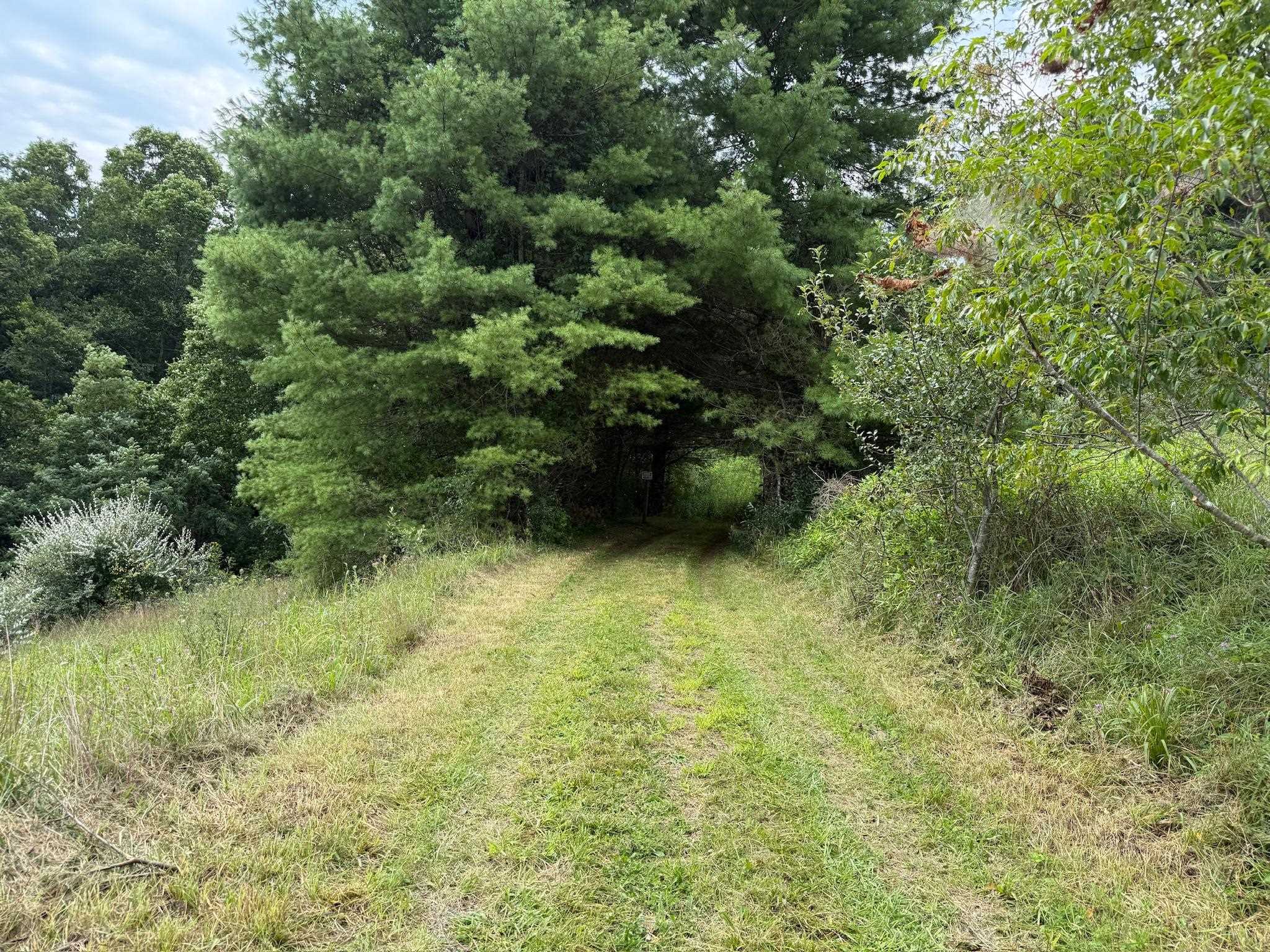2098 Shady Grove Road Indian Valley VA 24105
