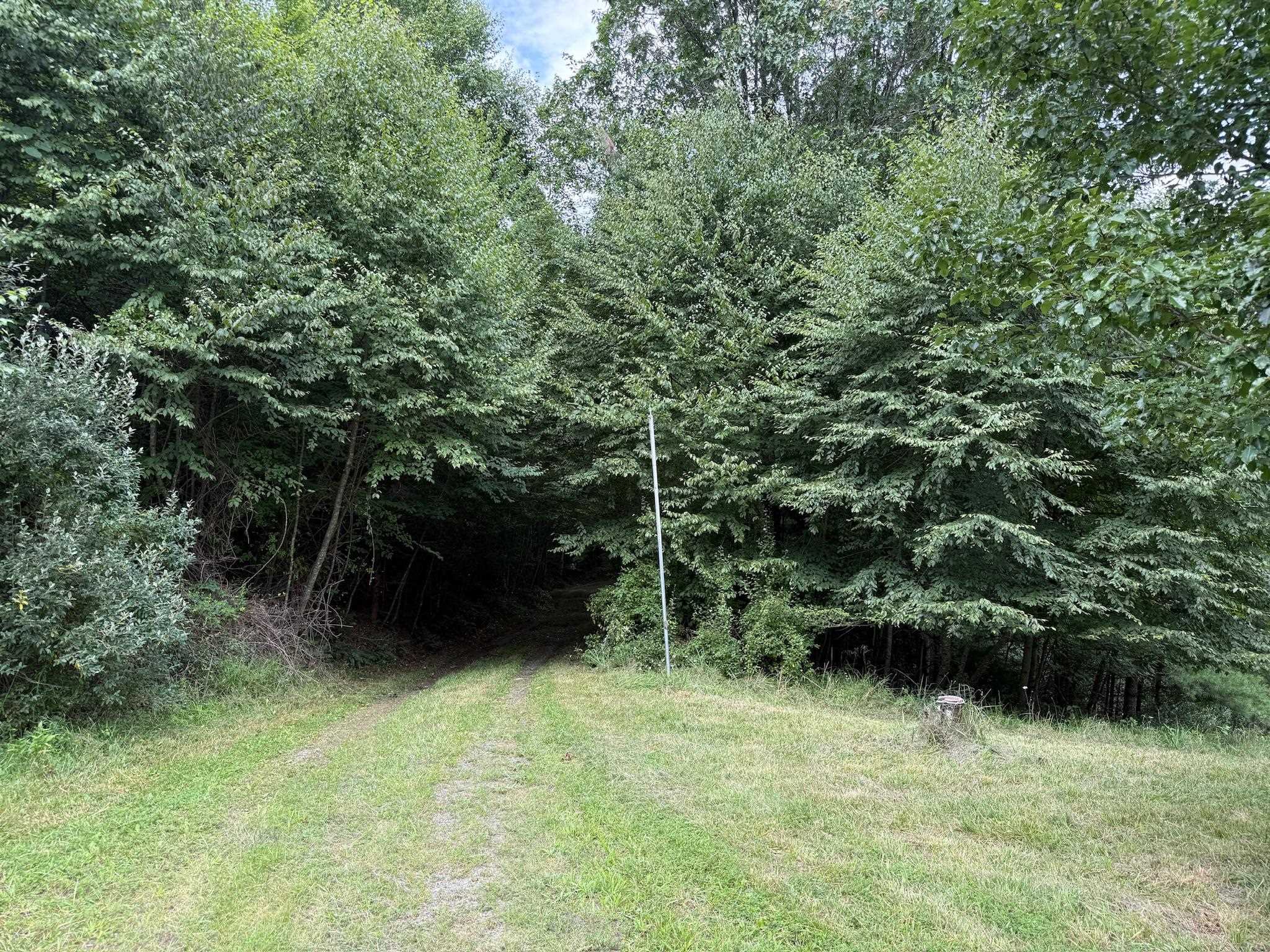 2098 Shady Grove Road Indian Valley VA 24105