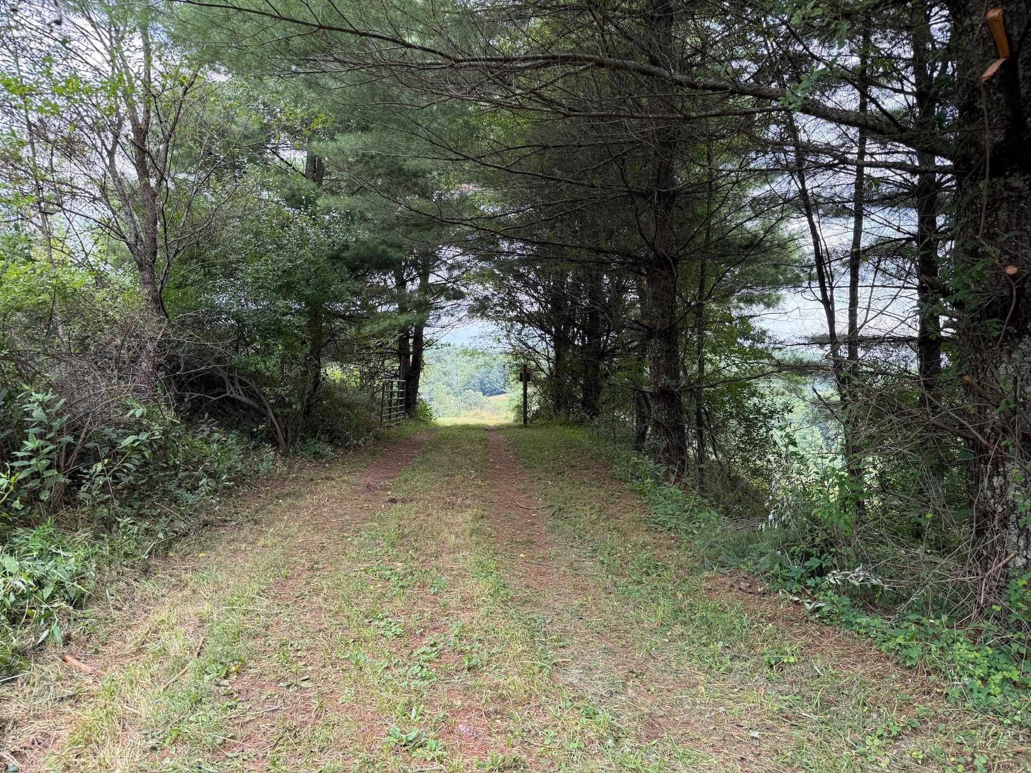 2098 Shady Grove Road Indian Valley VA 24105