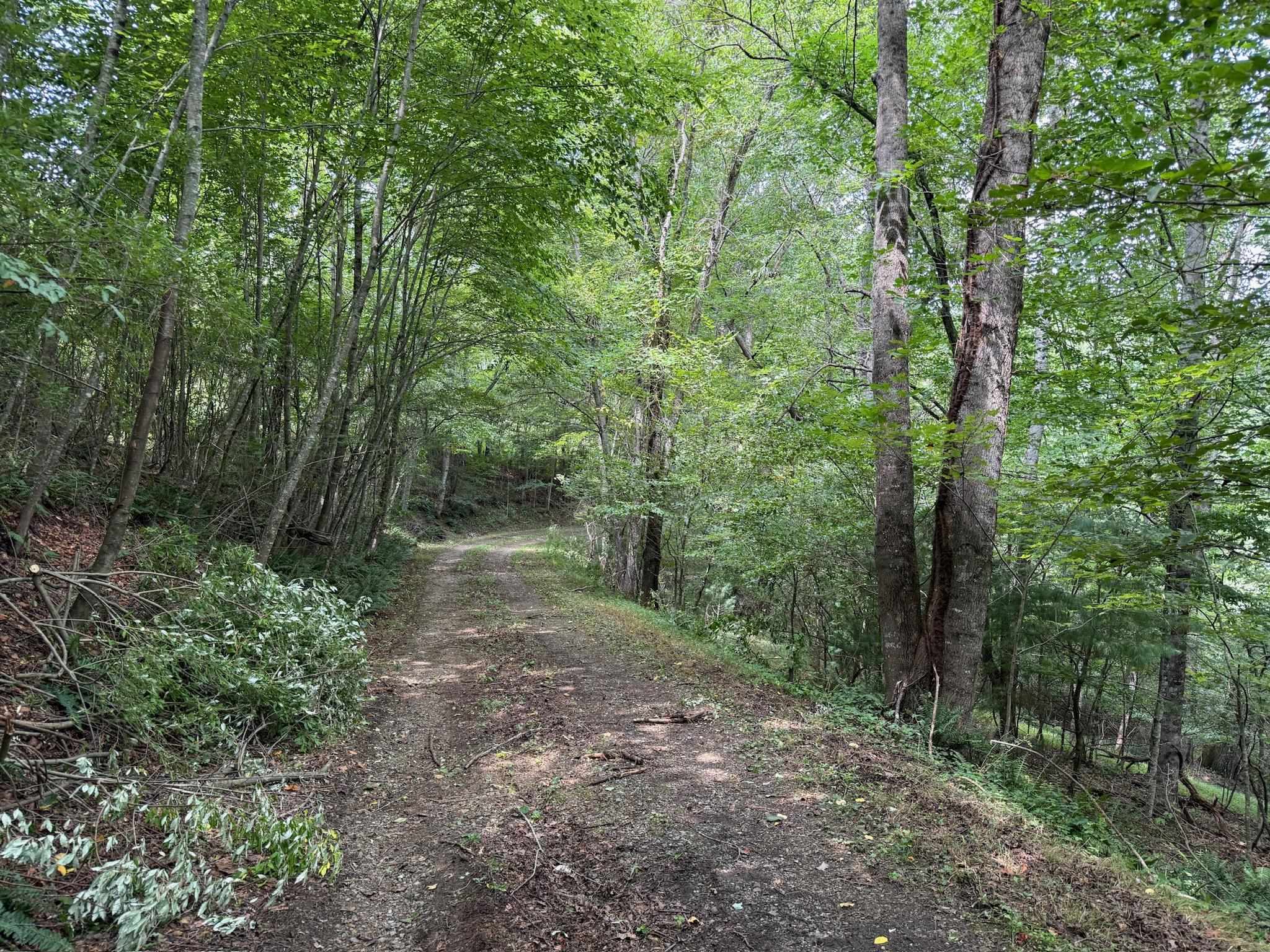2098 Shady Grove Road Indian Valley VA 24105