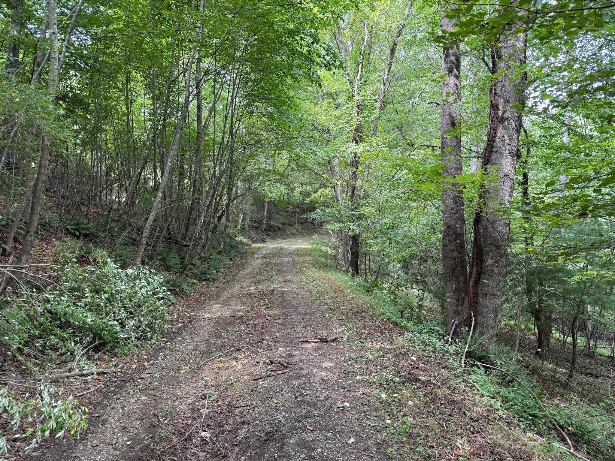 2098 Shady Grove Road Indian Valley VA 24105