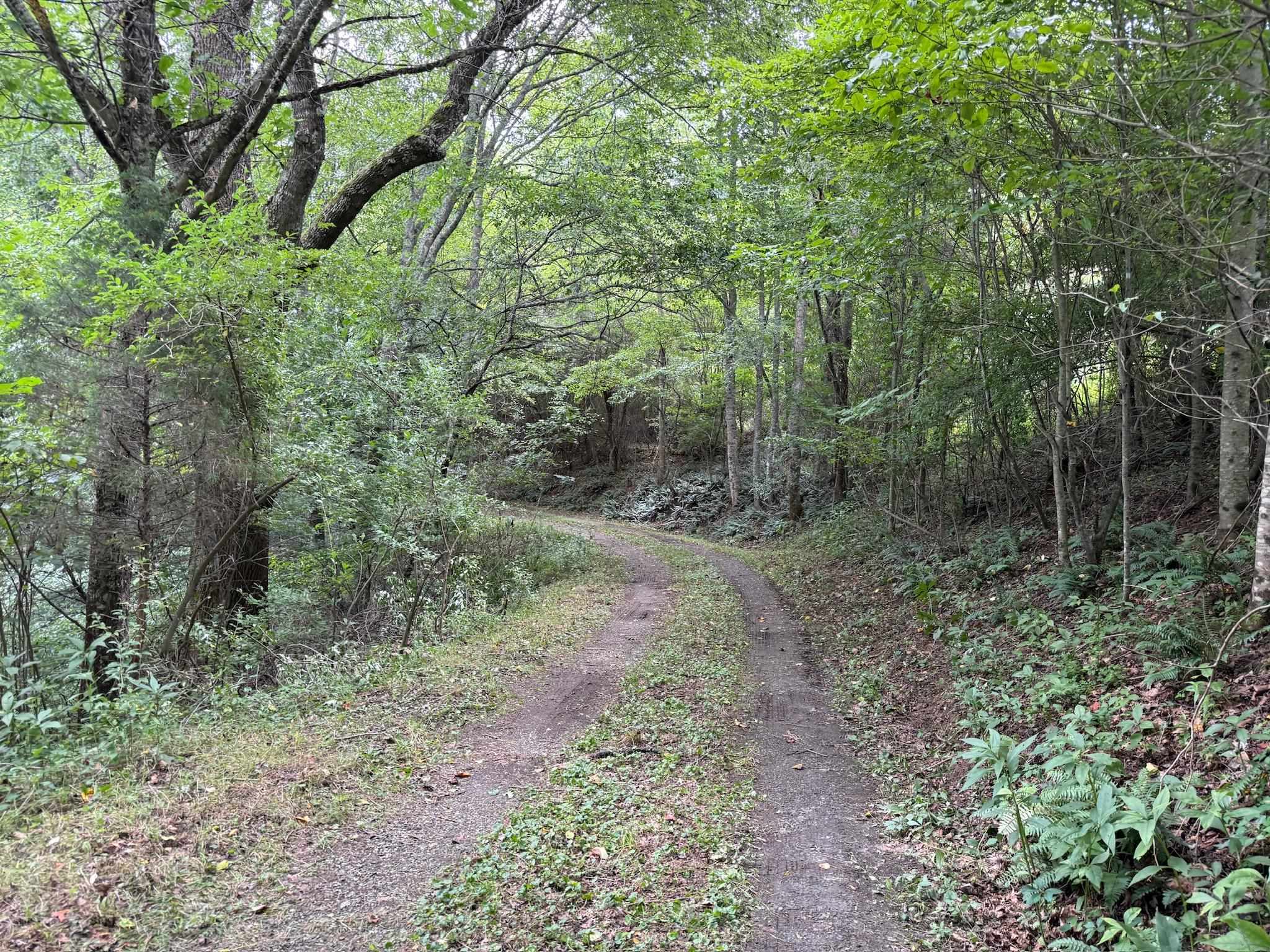 2098 Shady Grove Road Indian Valley VA 24105