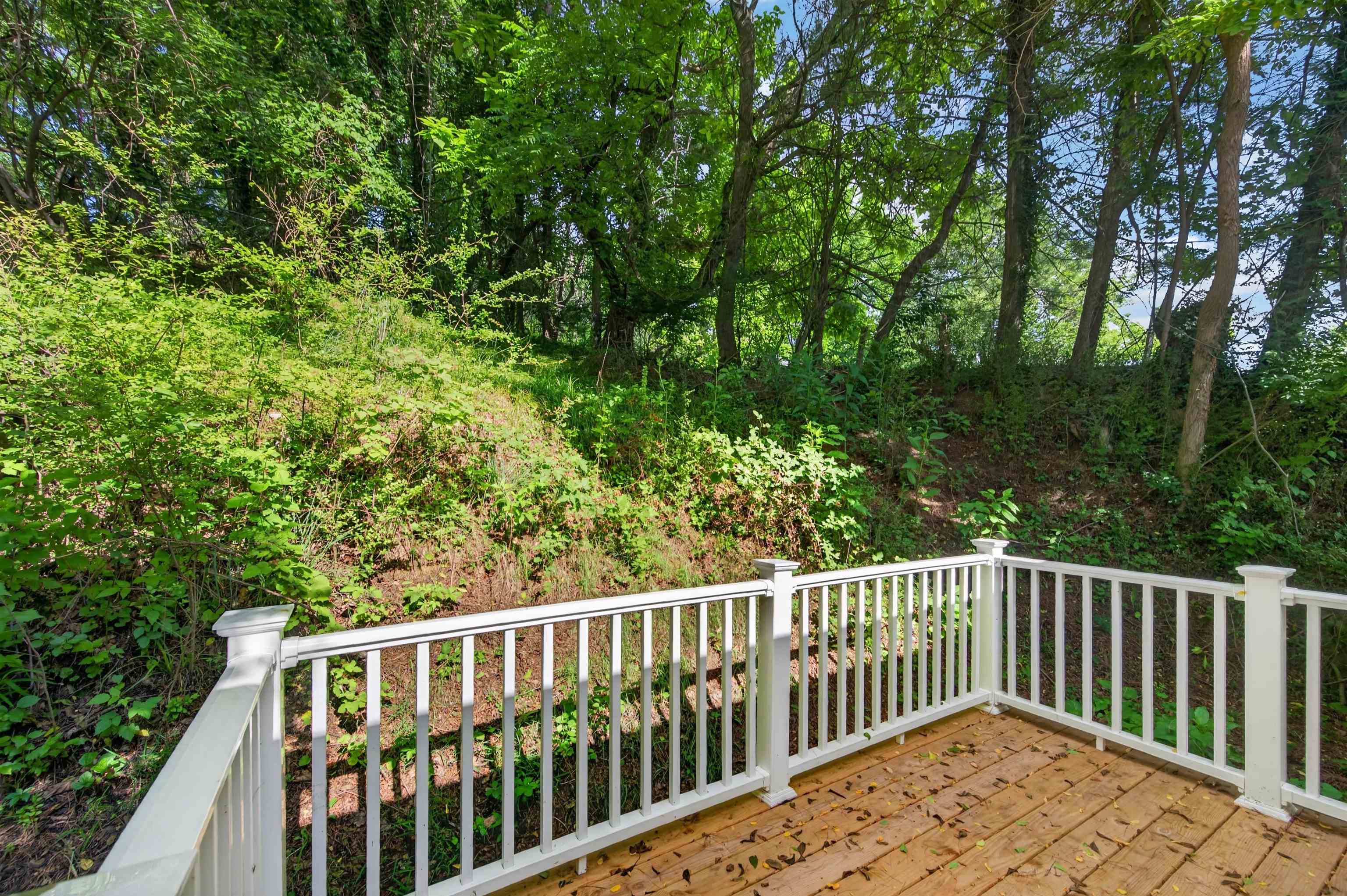 705 Monroe Drive Pulaski VA 24301