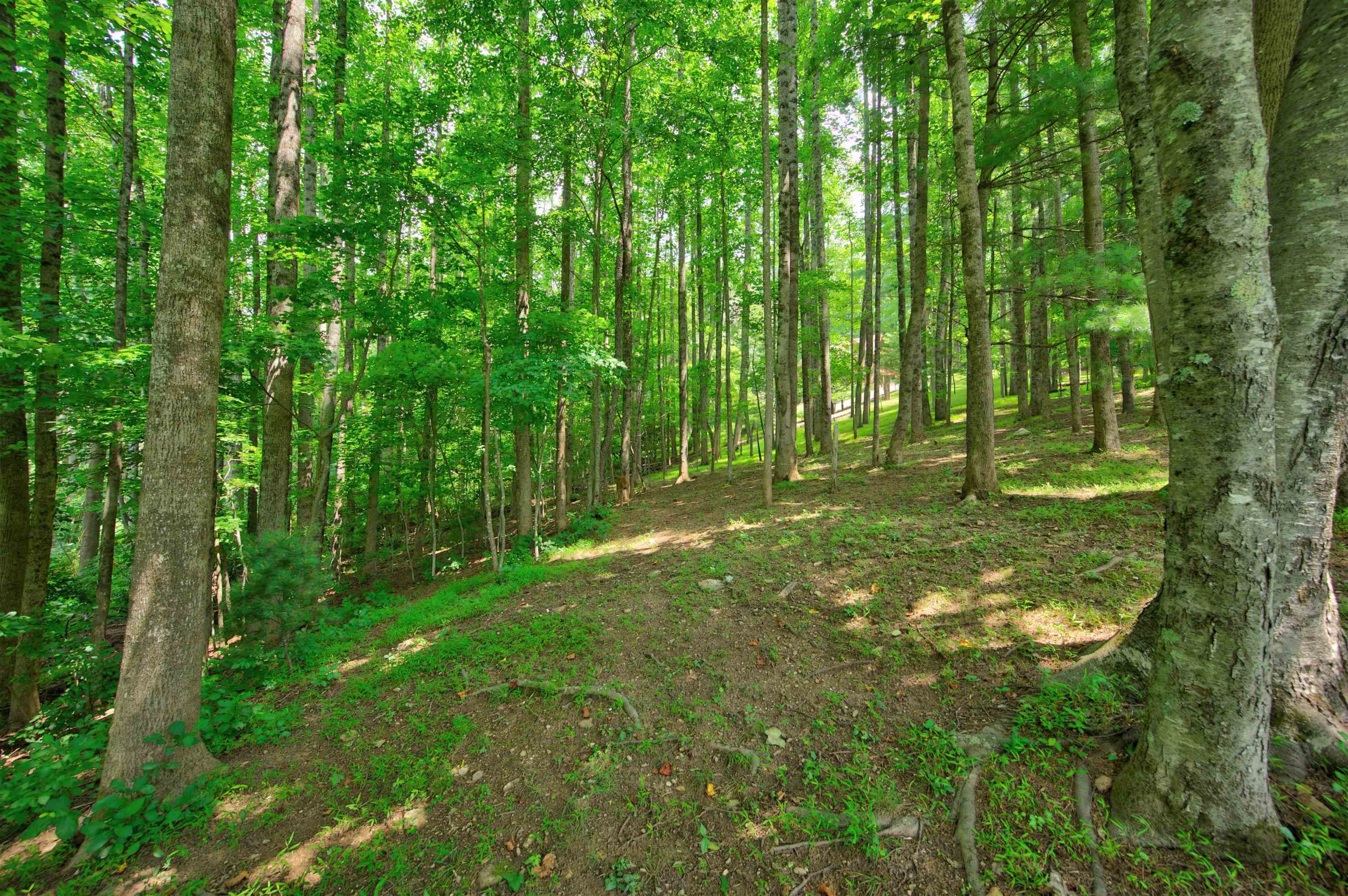 388 Southern View Trail Fancy Gap VA 24328