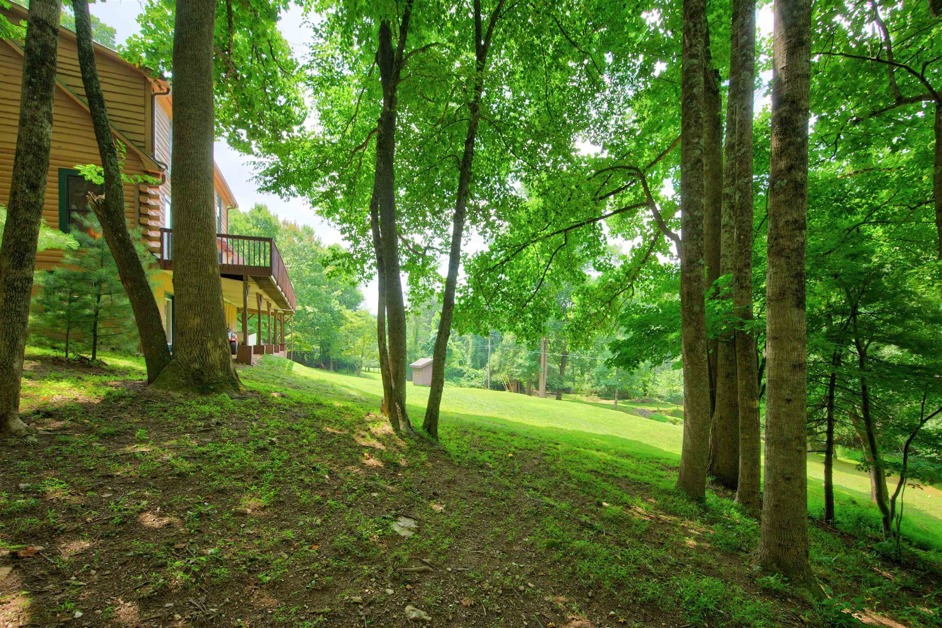 388 Southern View Trail Fancy Gap VA 24328
