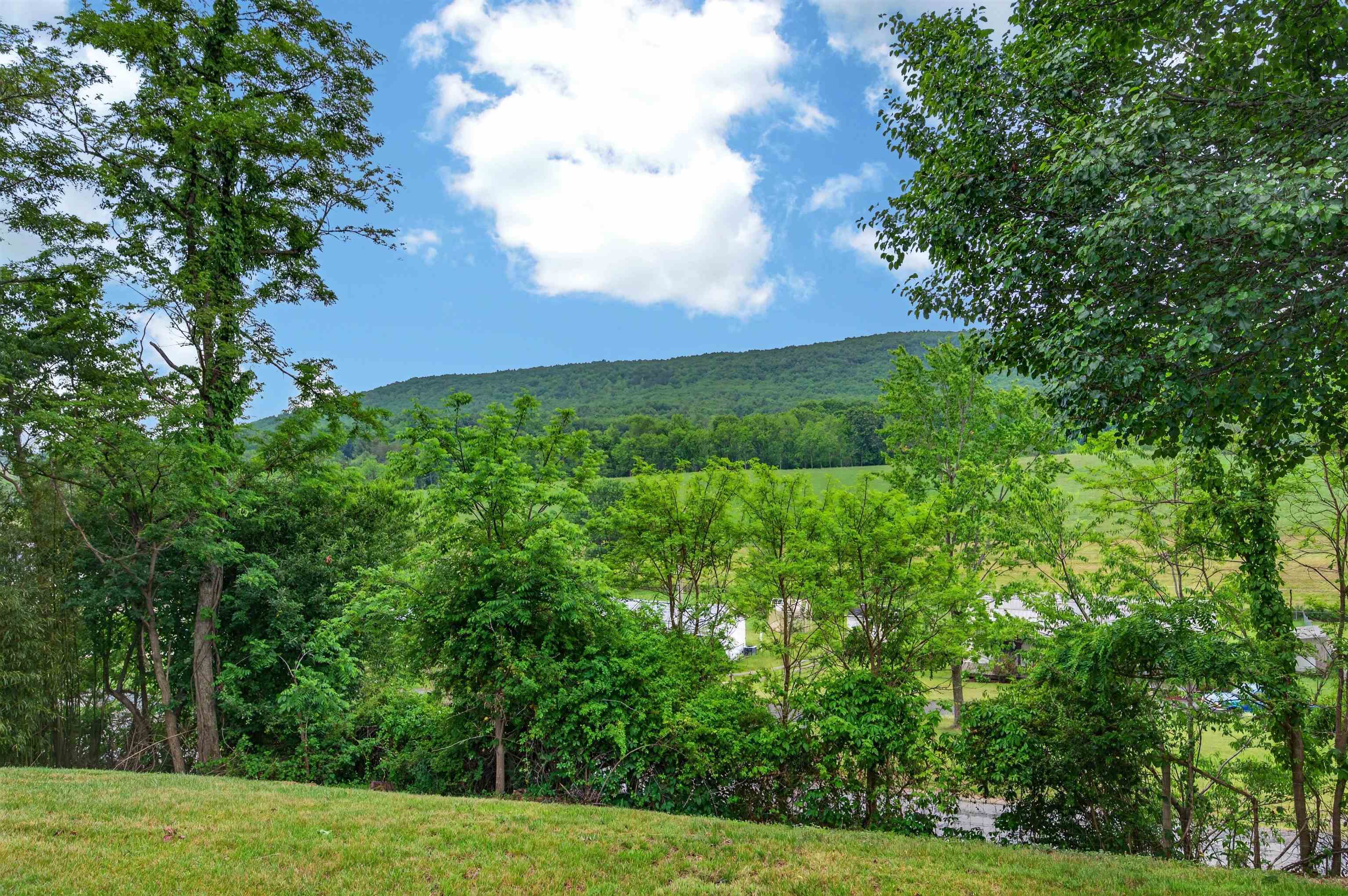 418 Danner Road Max Meadows VA 24360