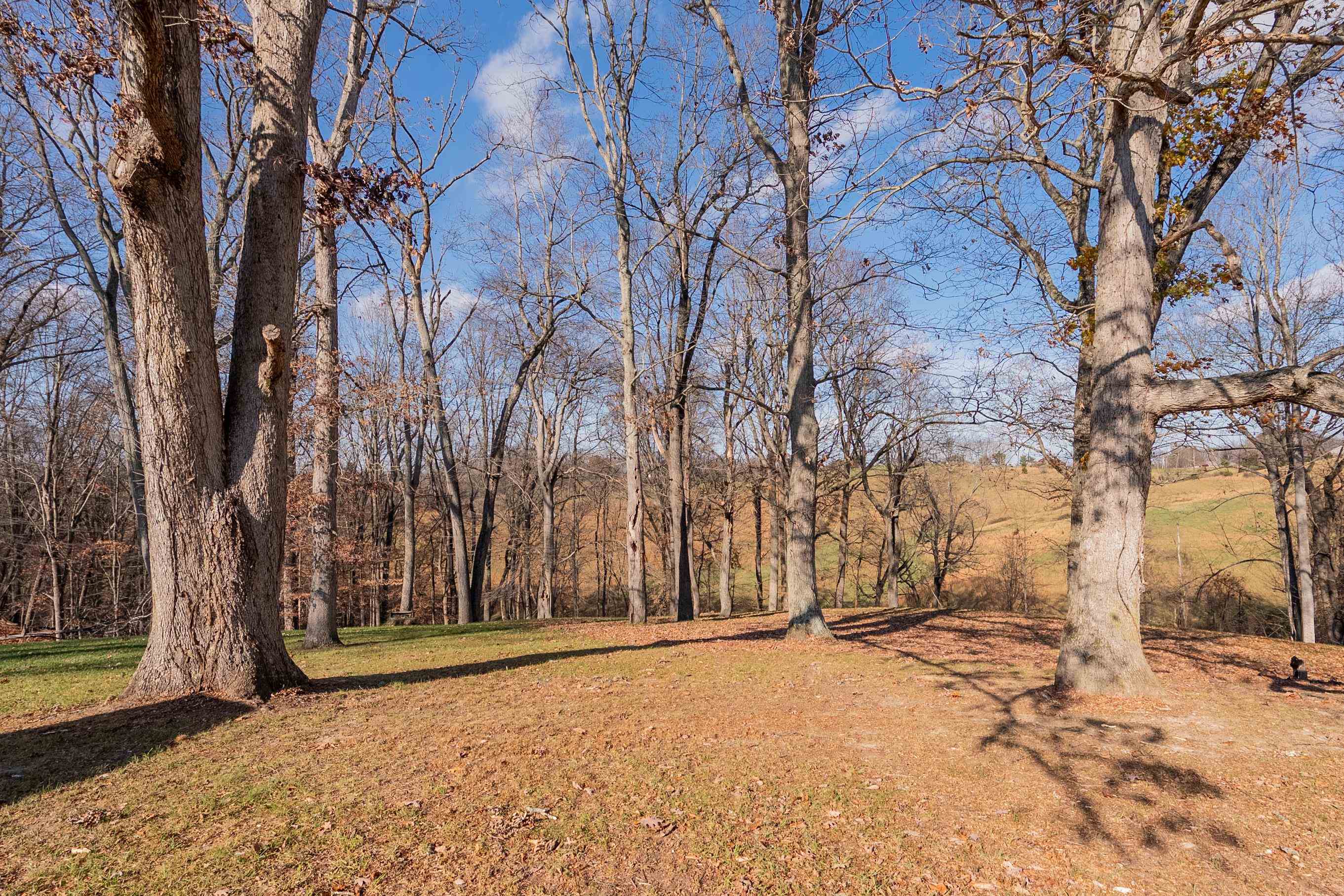 1005 W Rock Road Radford VA 24141