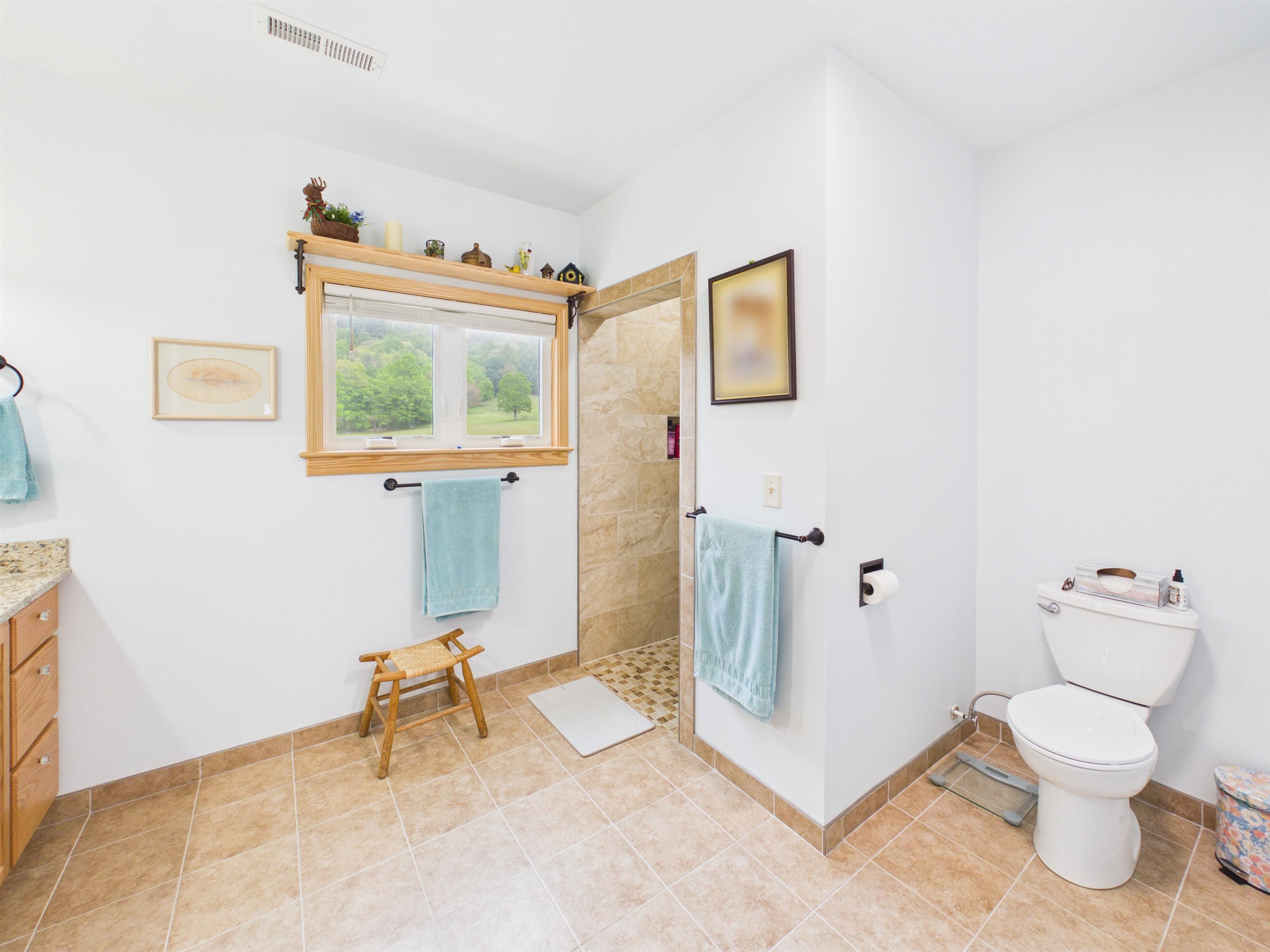 5821 Buffalo Mountain Road SW Meadows Of Dan VA 24120