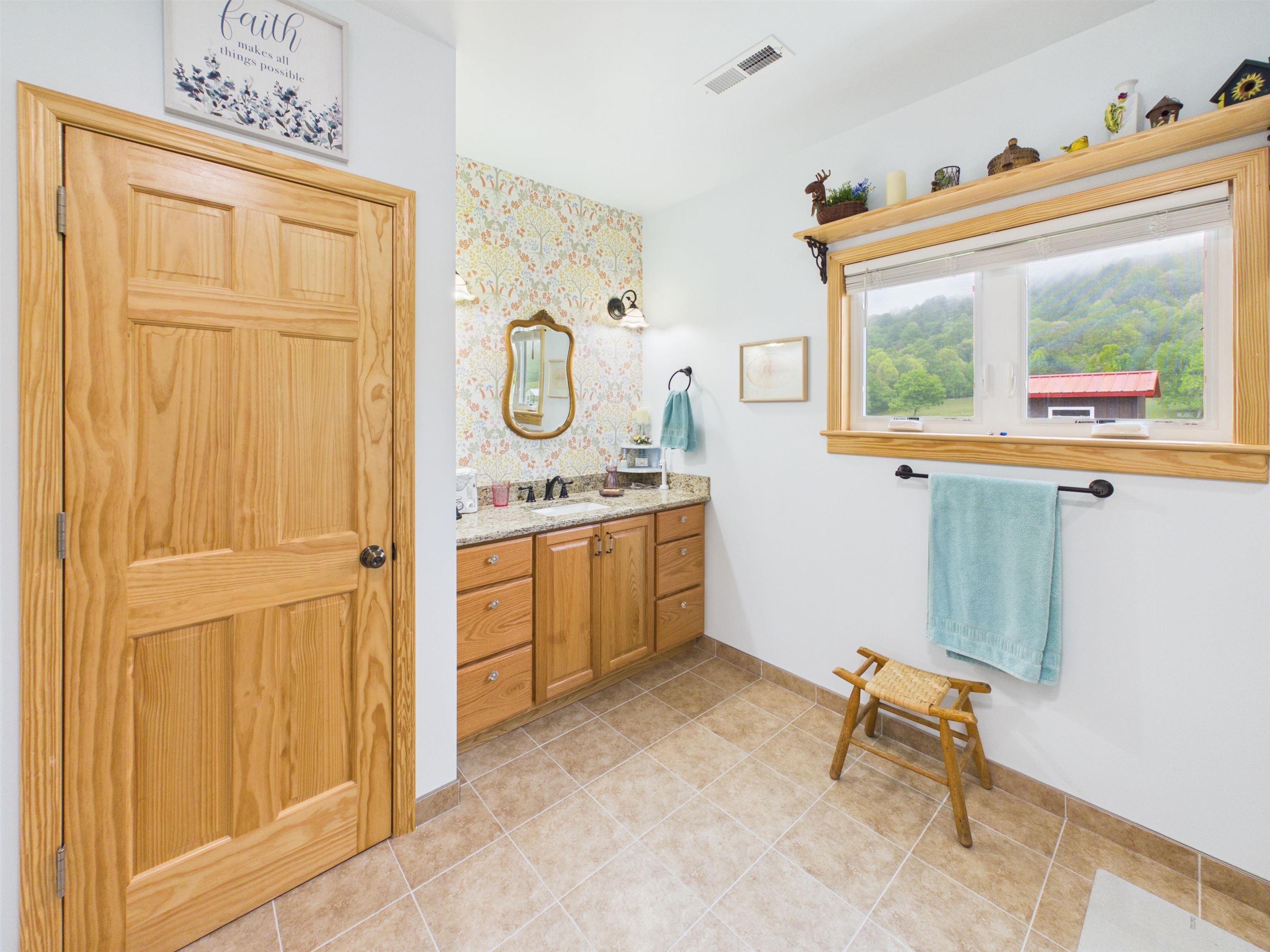 5821 Buffalo Mountain Road SW Meadows Of Dan VA 24120