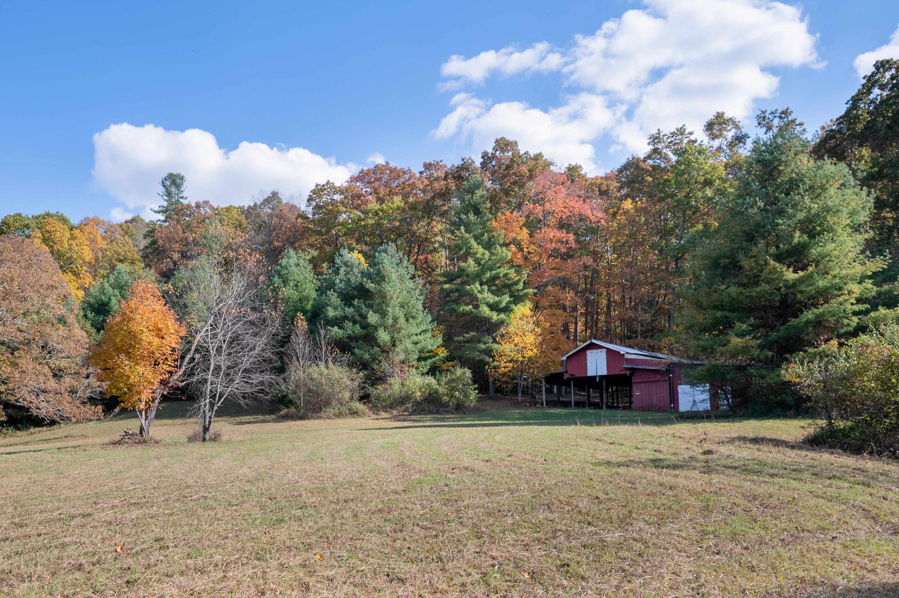 4149 SE Suiter Road SW Bastian VA 24314