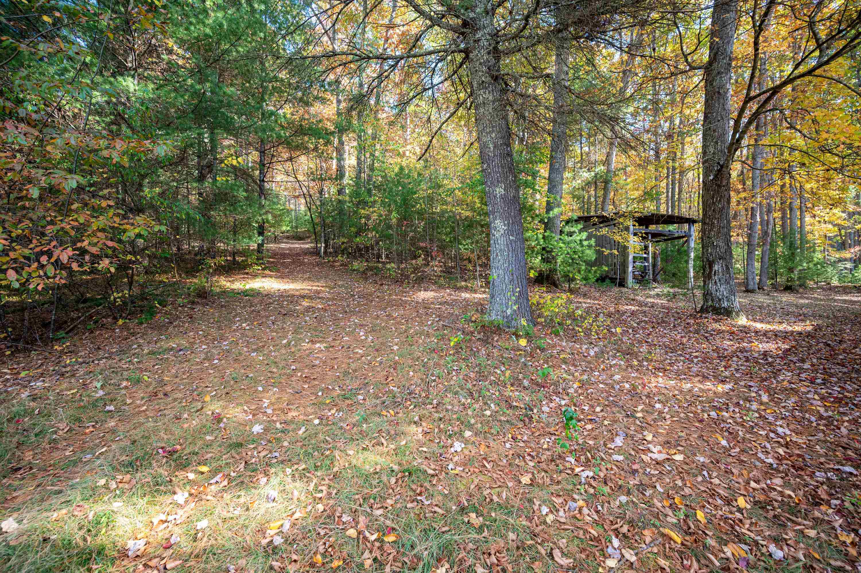 4149 SE Suiter Road SW Bastian VA 24314