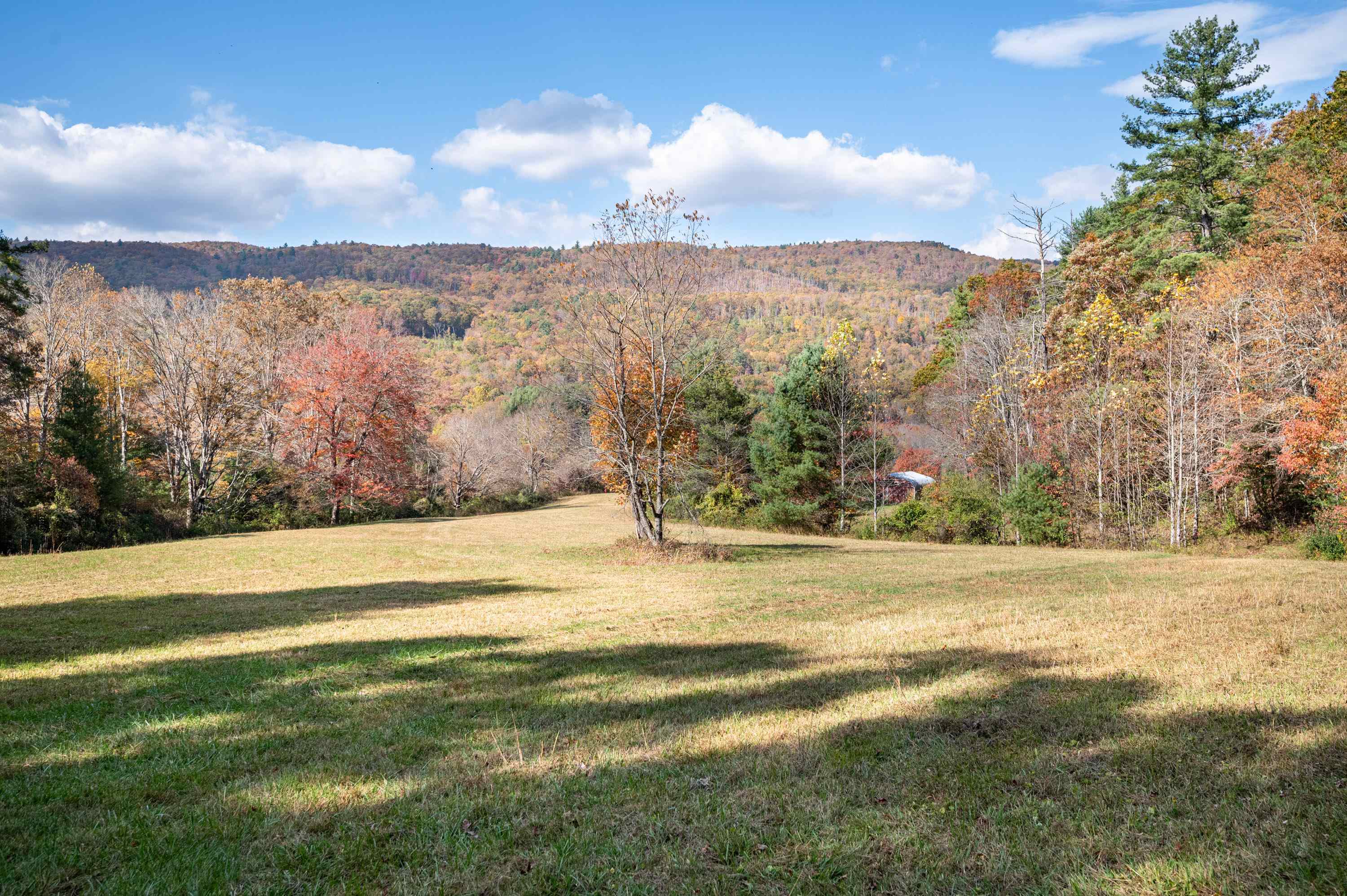 4149 SE Suiter Road SW Bastian VA 24314