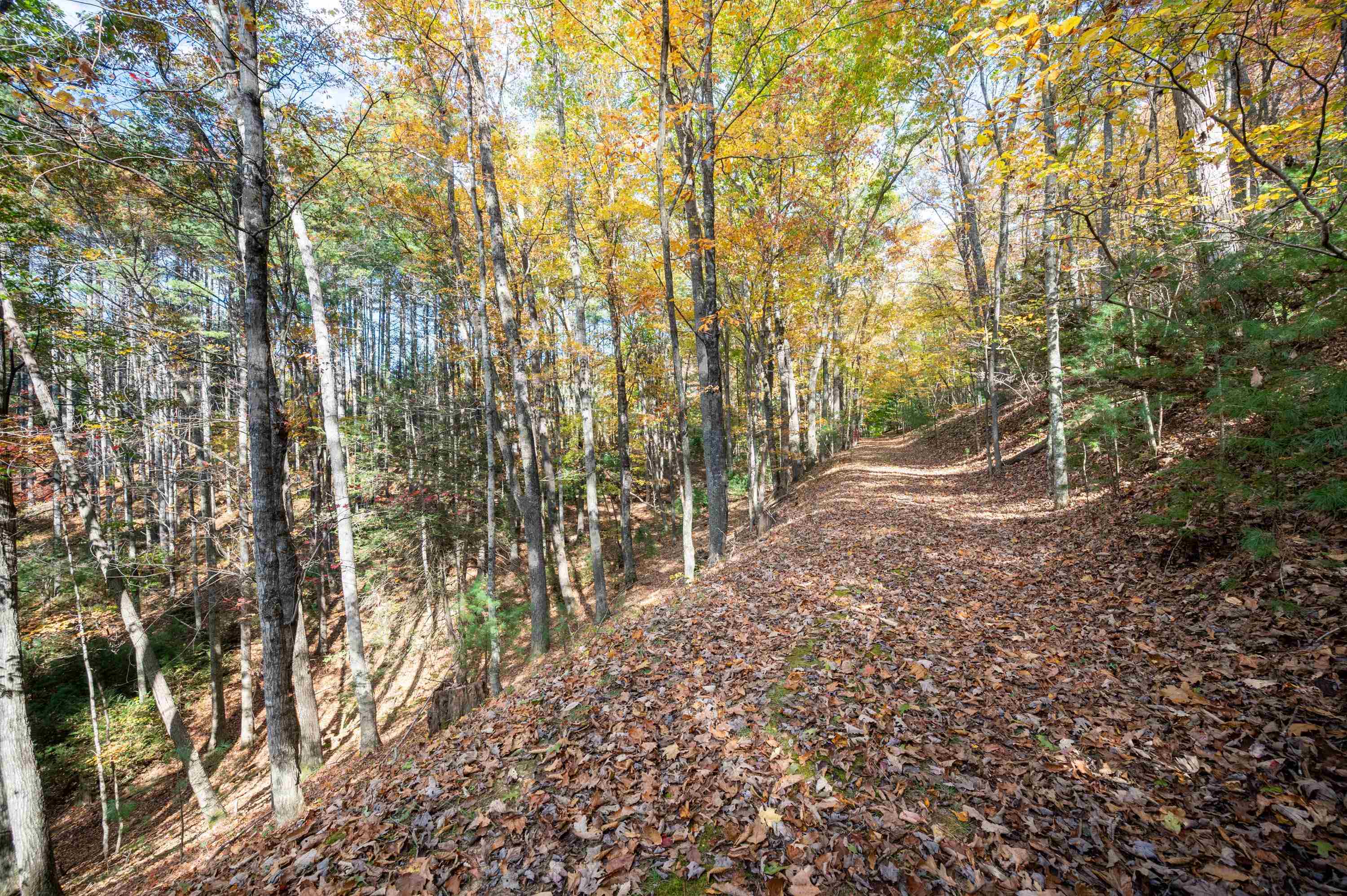 4149 SE Suiter Road SW Bastian VA 24314