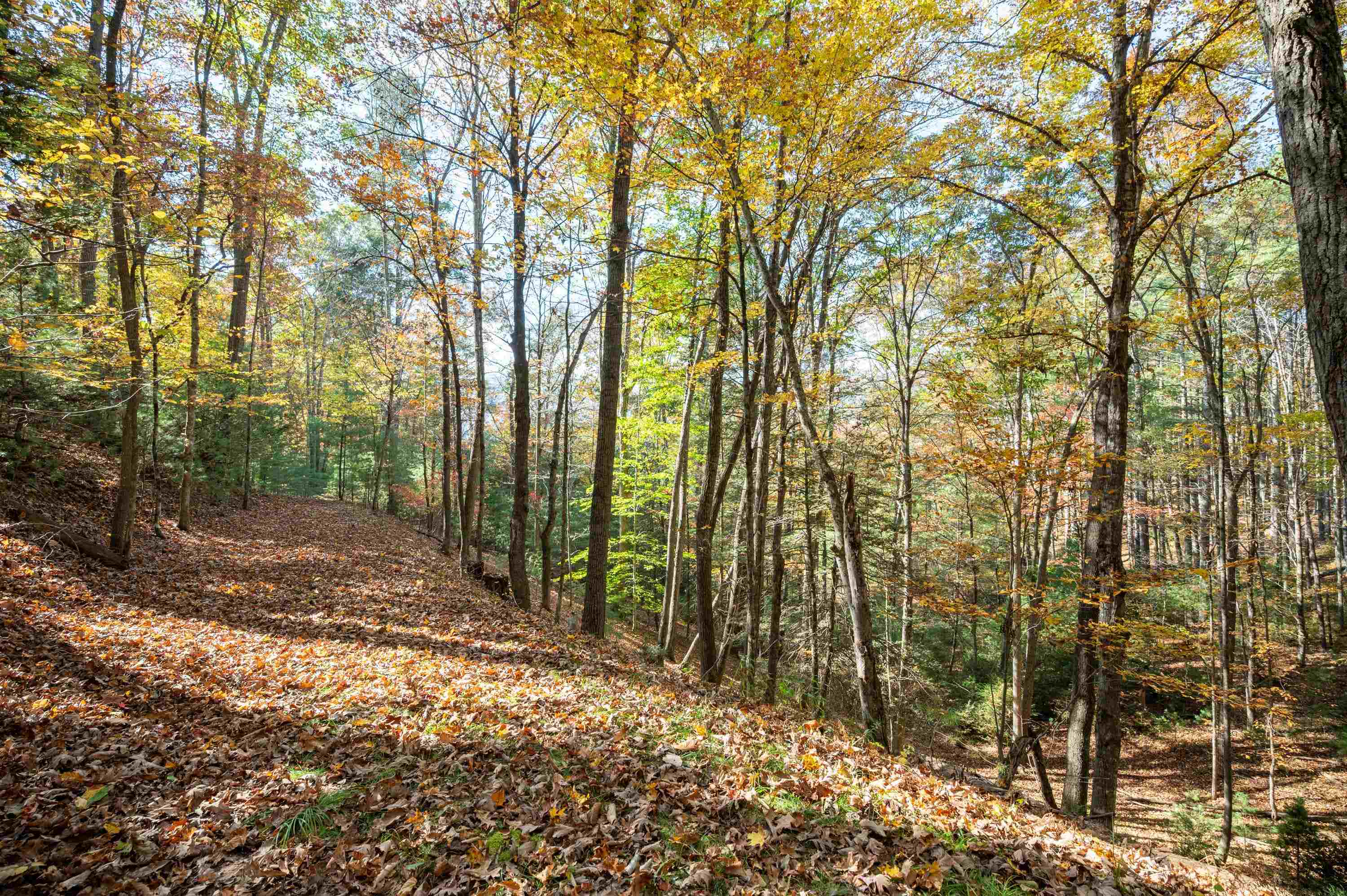 4149 SE Suiter Road SW Bastian VA 24314