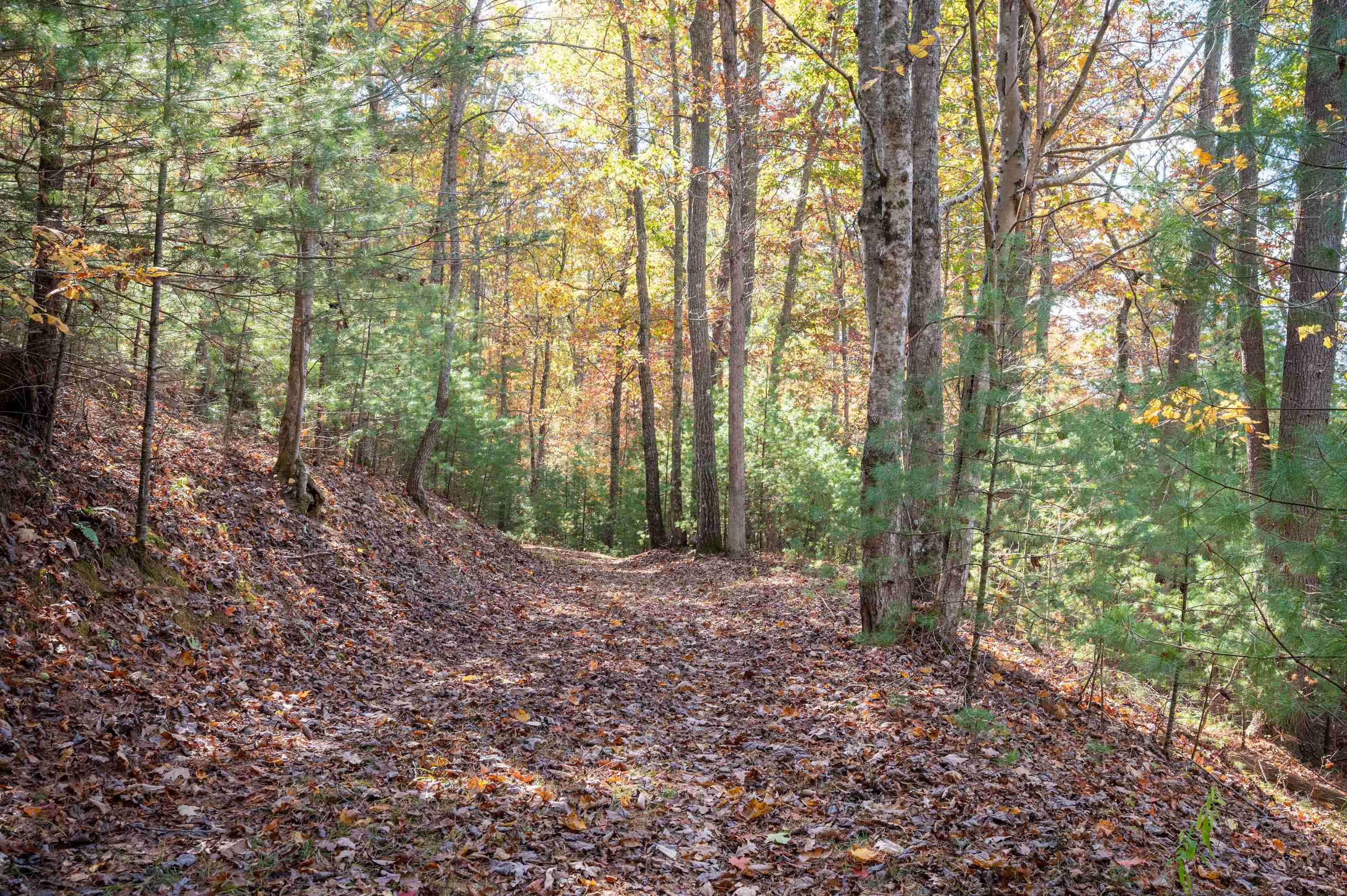 4149 SE Suiter Road SW Bastian VA 24314