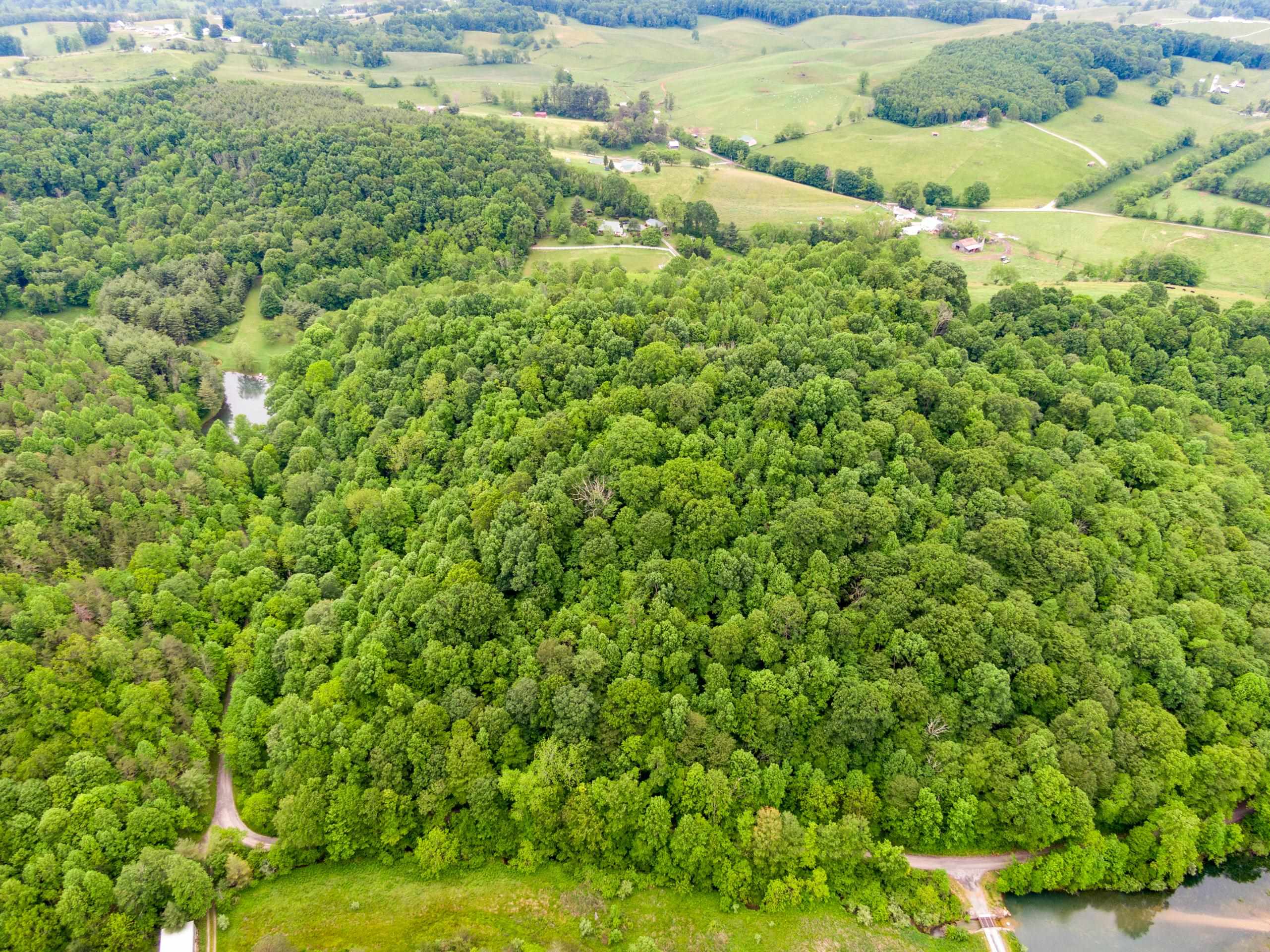 227 Dutton Hollow Road Rural Retreat VA 24368