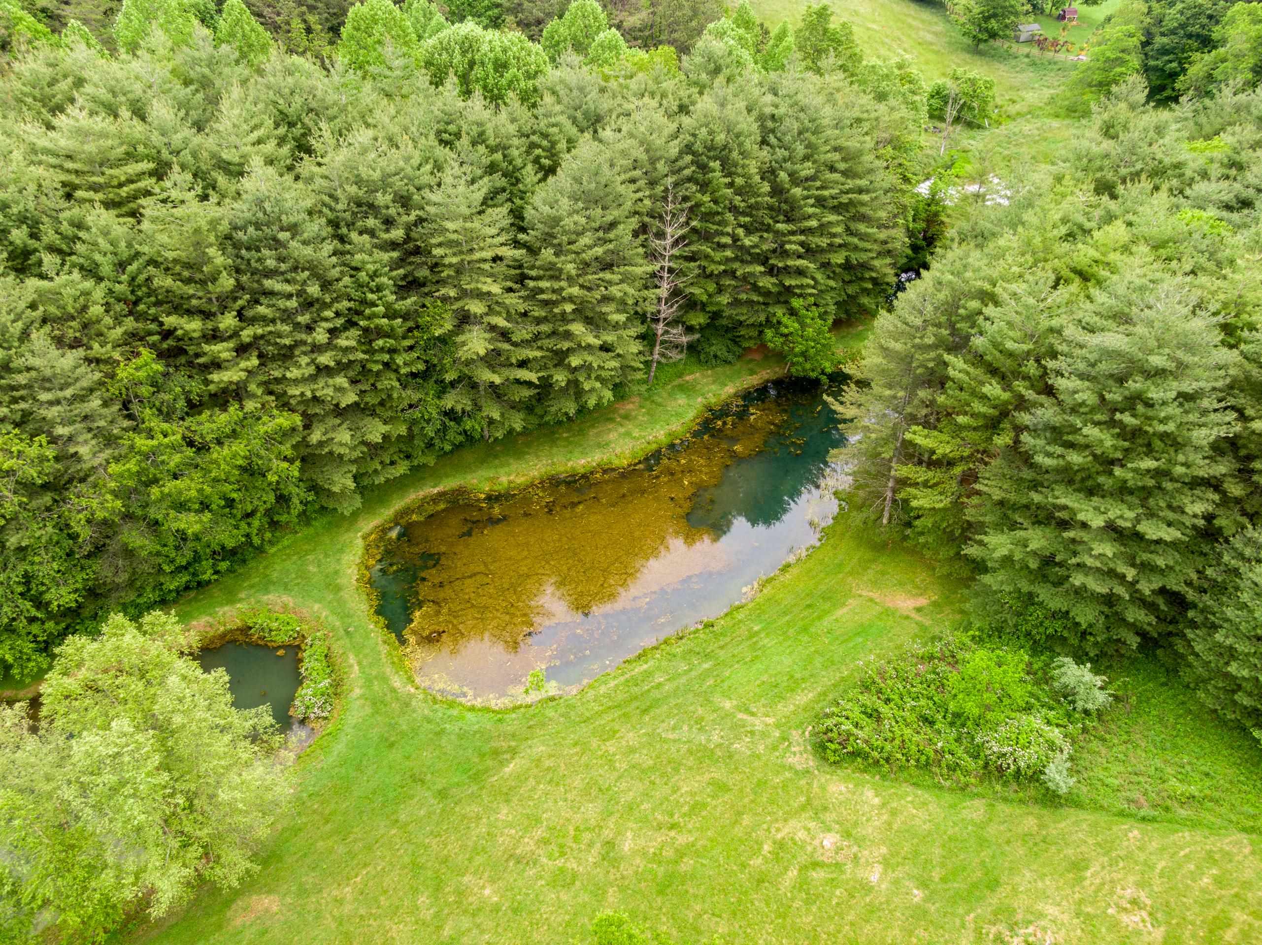 227 Dutton Hollow Road Rural Retreat VA 24368