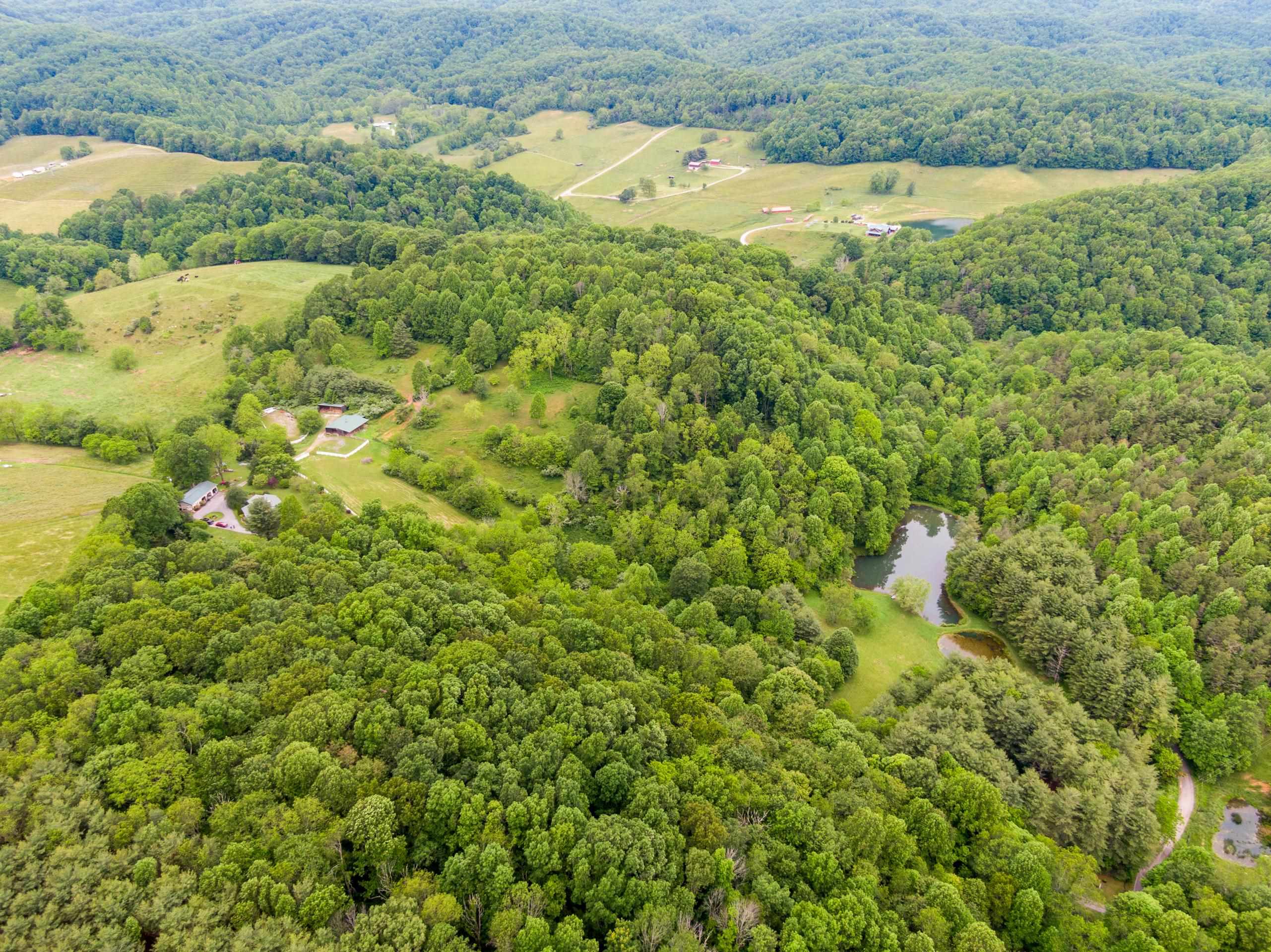 227 Dutton Hollow Road Rural Retreat VA 24368