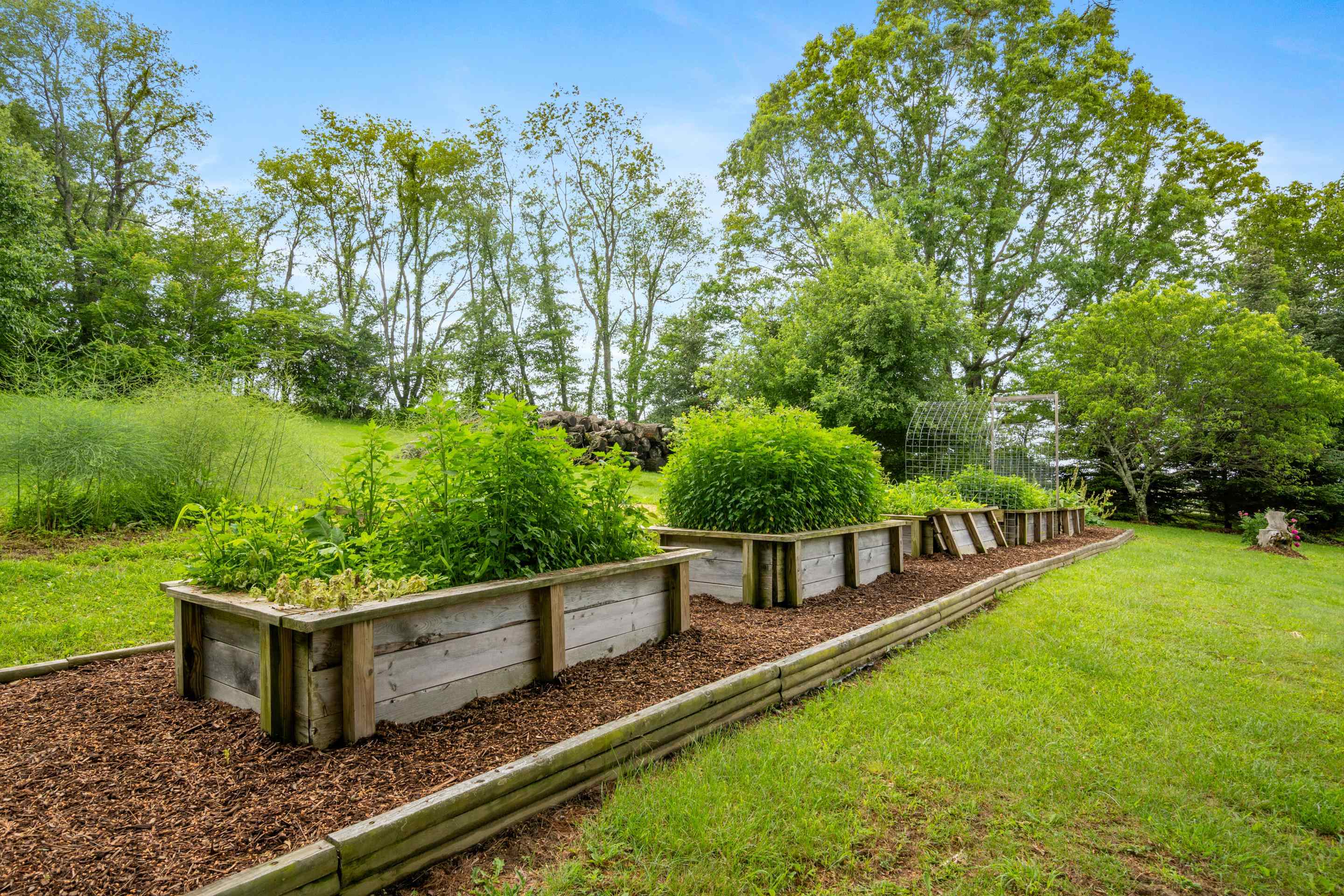 227 Dutton Hollow Road Rural Retreat VA 24368