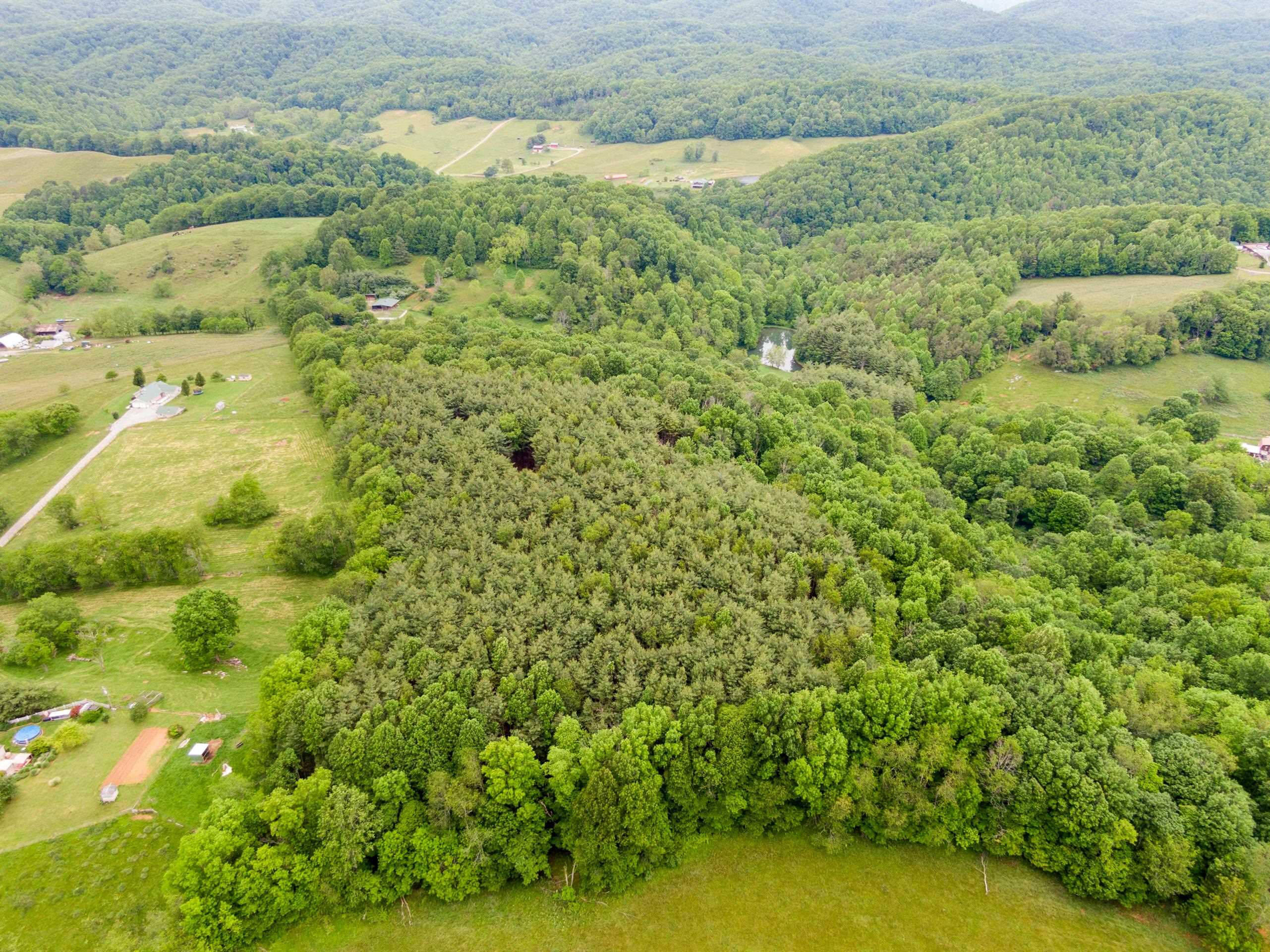 227 Dutton Hollow Road Rural Retreat VA 24368