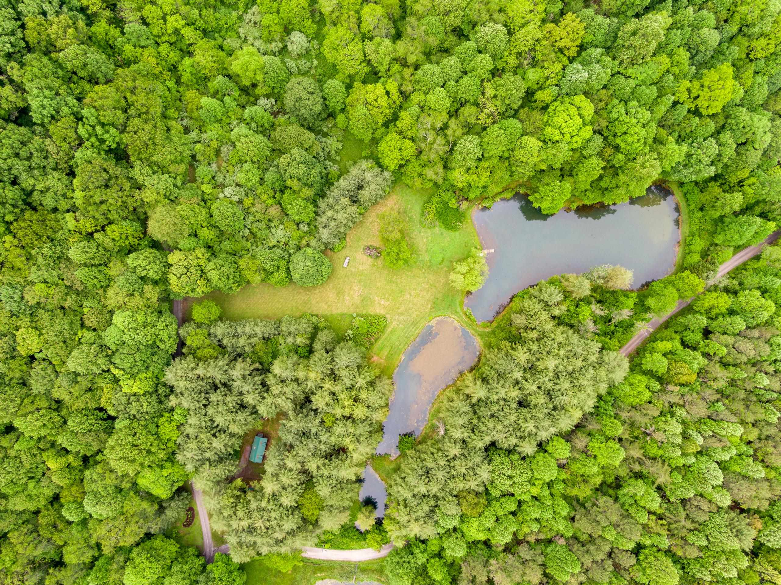 227 Dutton Hollow Road Rural Retreat VA 24368