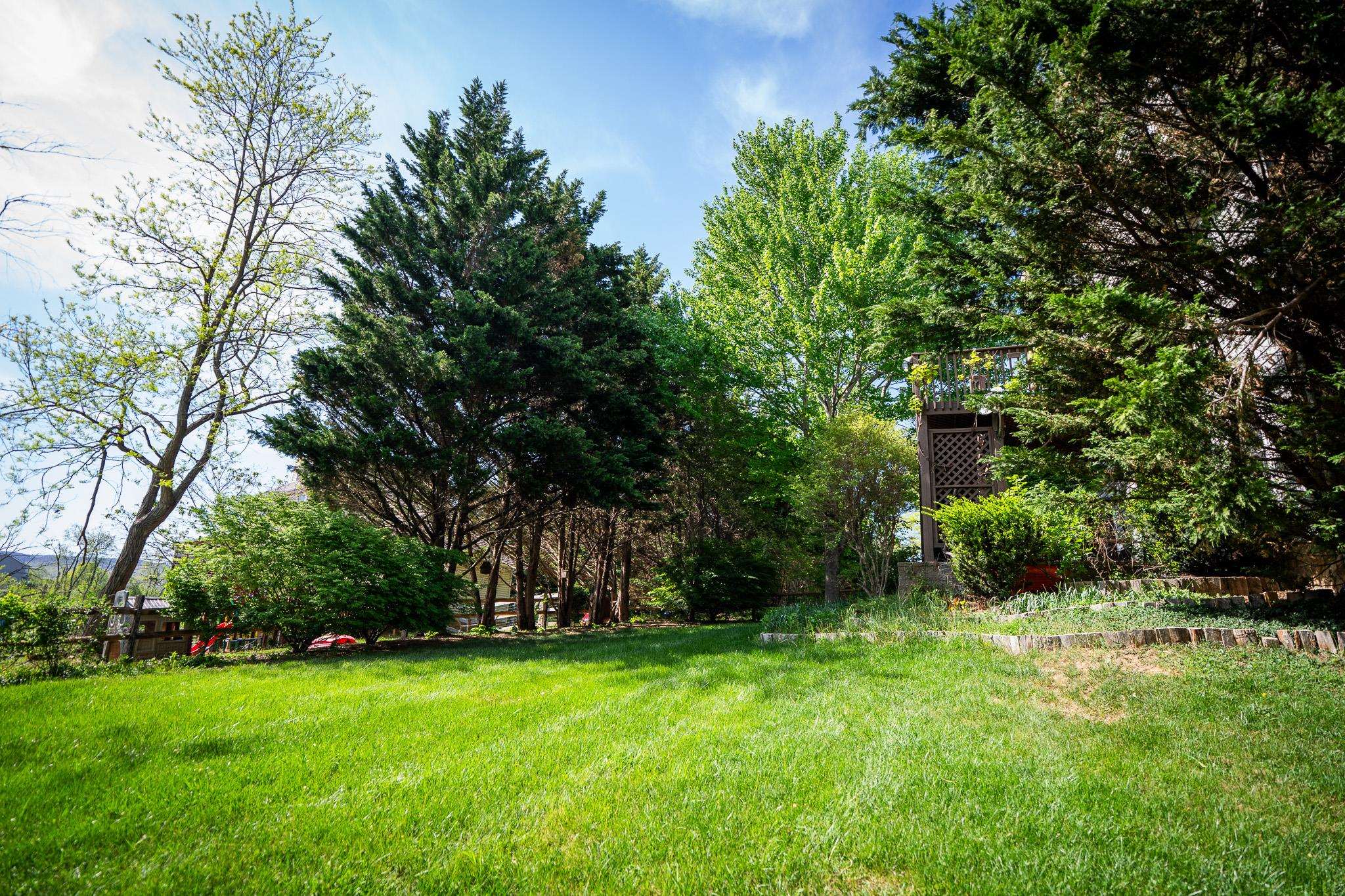 1603 Winslow Drive Blacksburg VA 24060