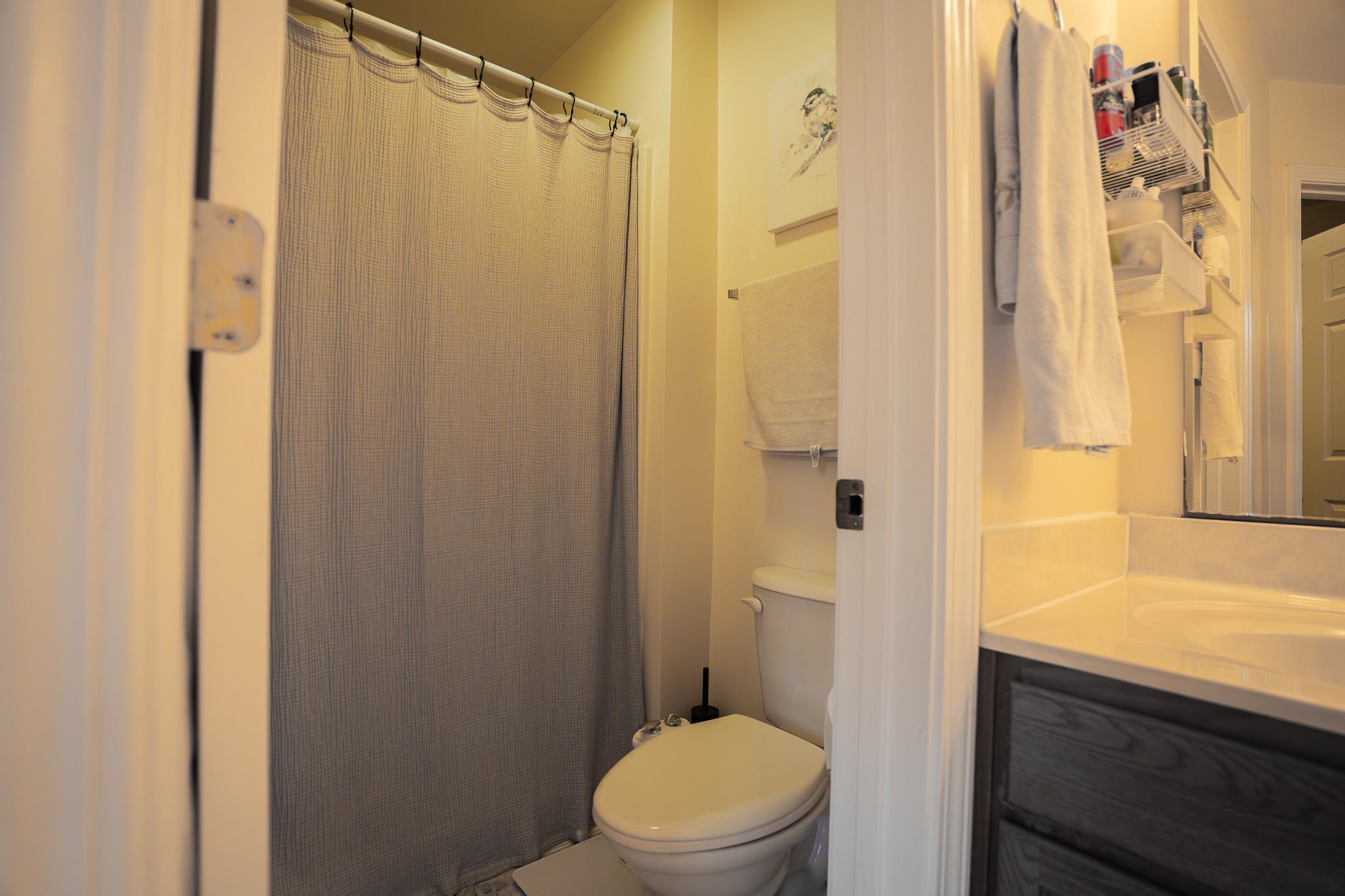 1603 Winslow Drive Blacksburg VA 24060